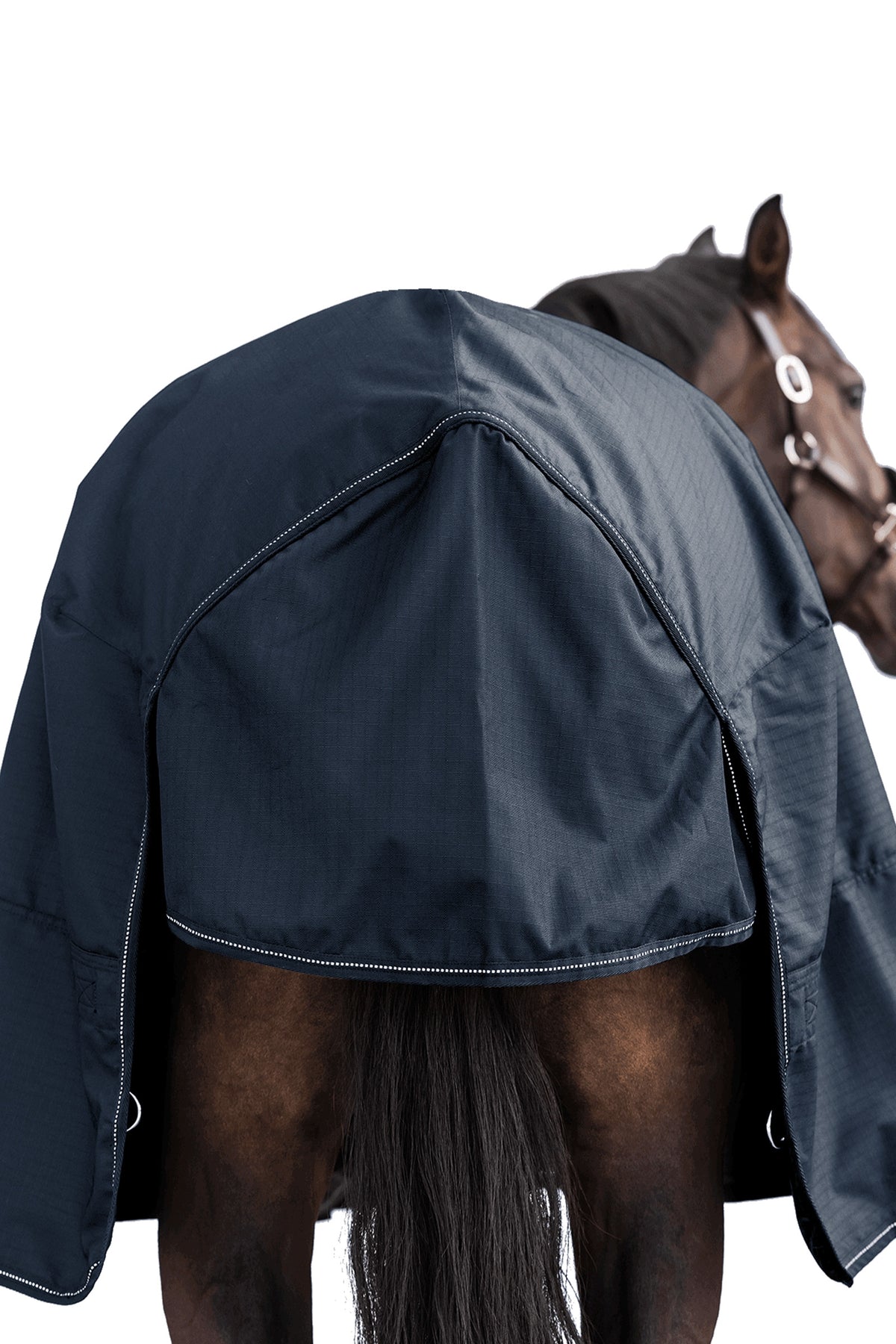 Waldhausen NORDIC 600D Outdoor Rug, 100 g Horse Rugs