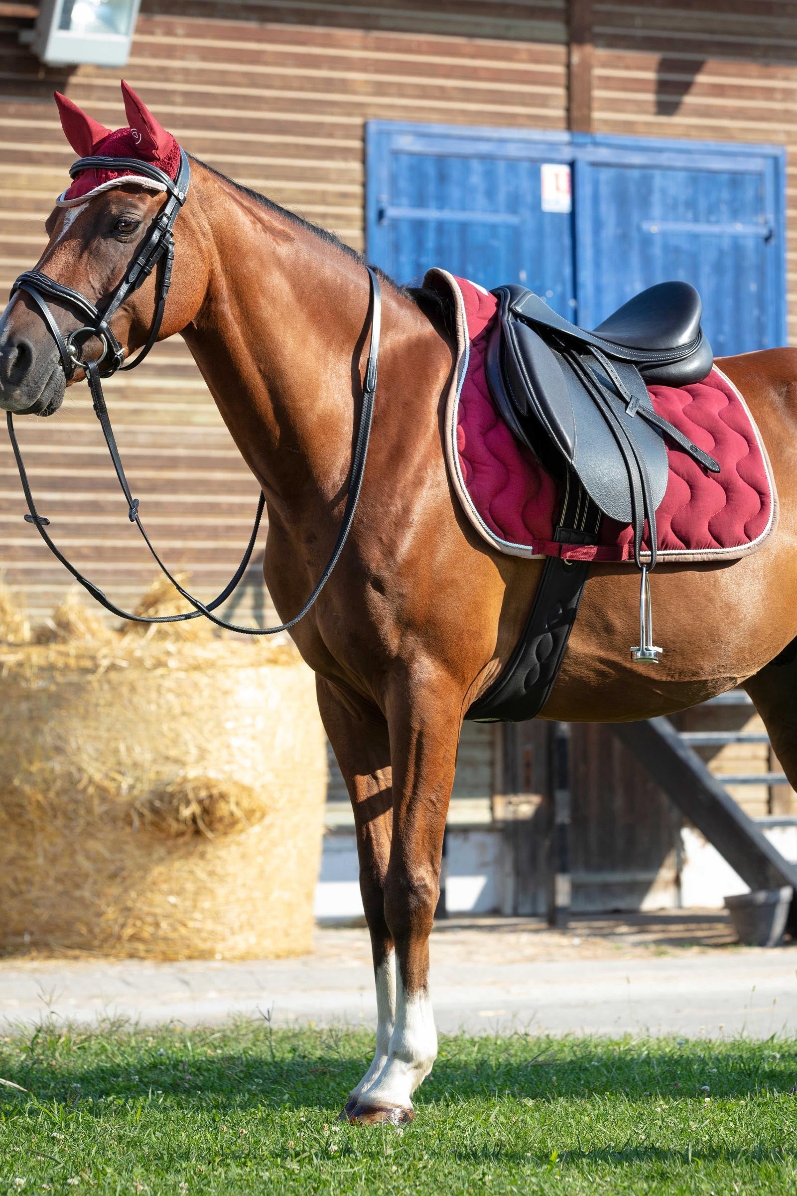 EQUITHÈME Polyfun All Purpose Saddle Pad Saddle Pads