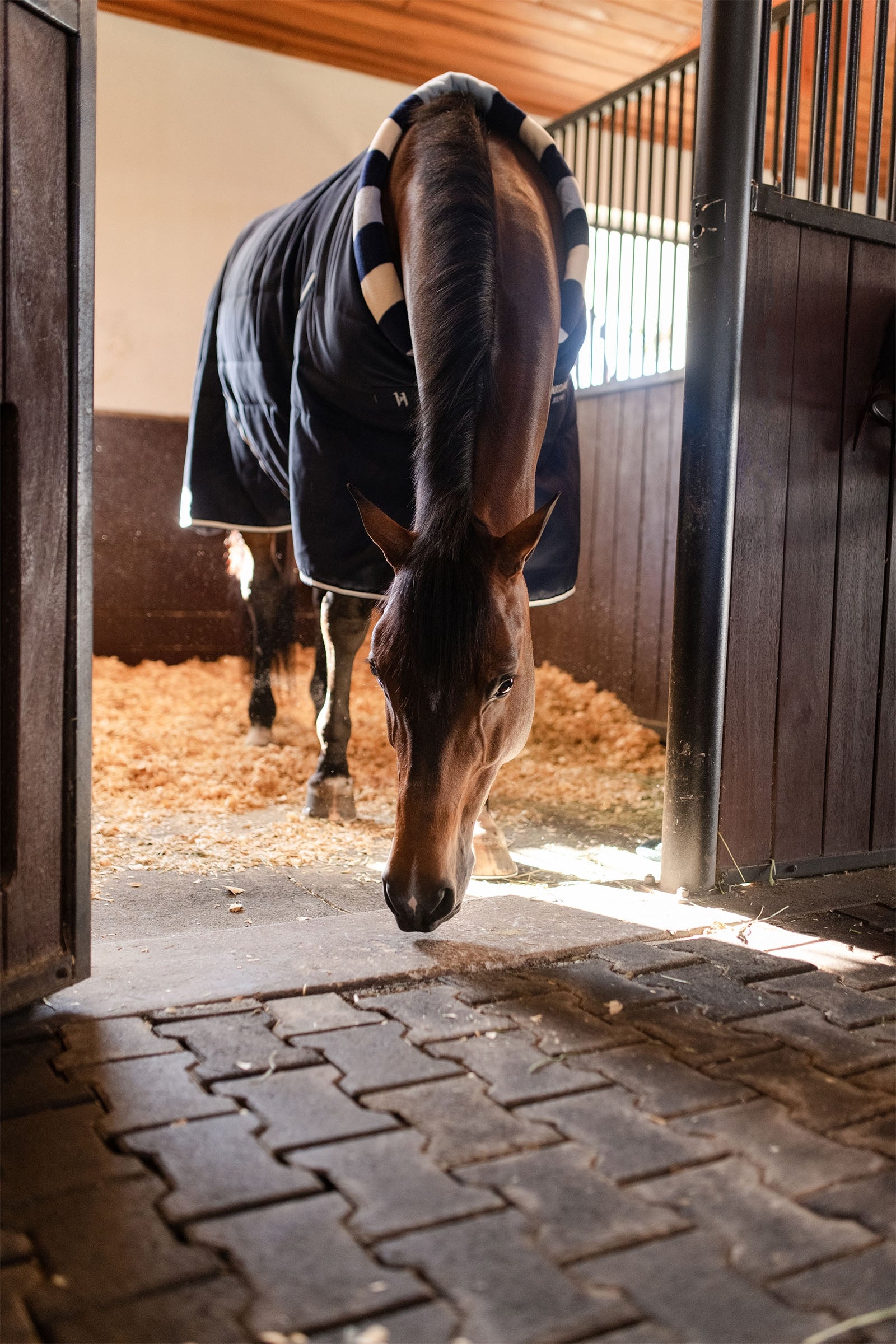 Horseware Newmarket Cosy Stable 100g Horse Rugs