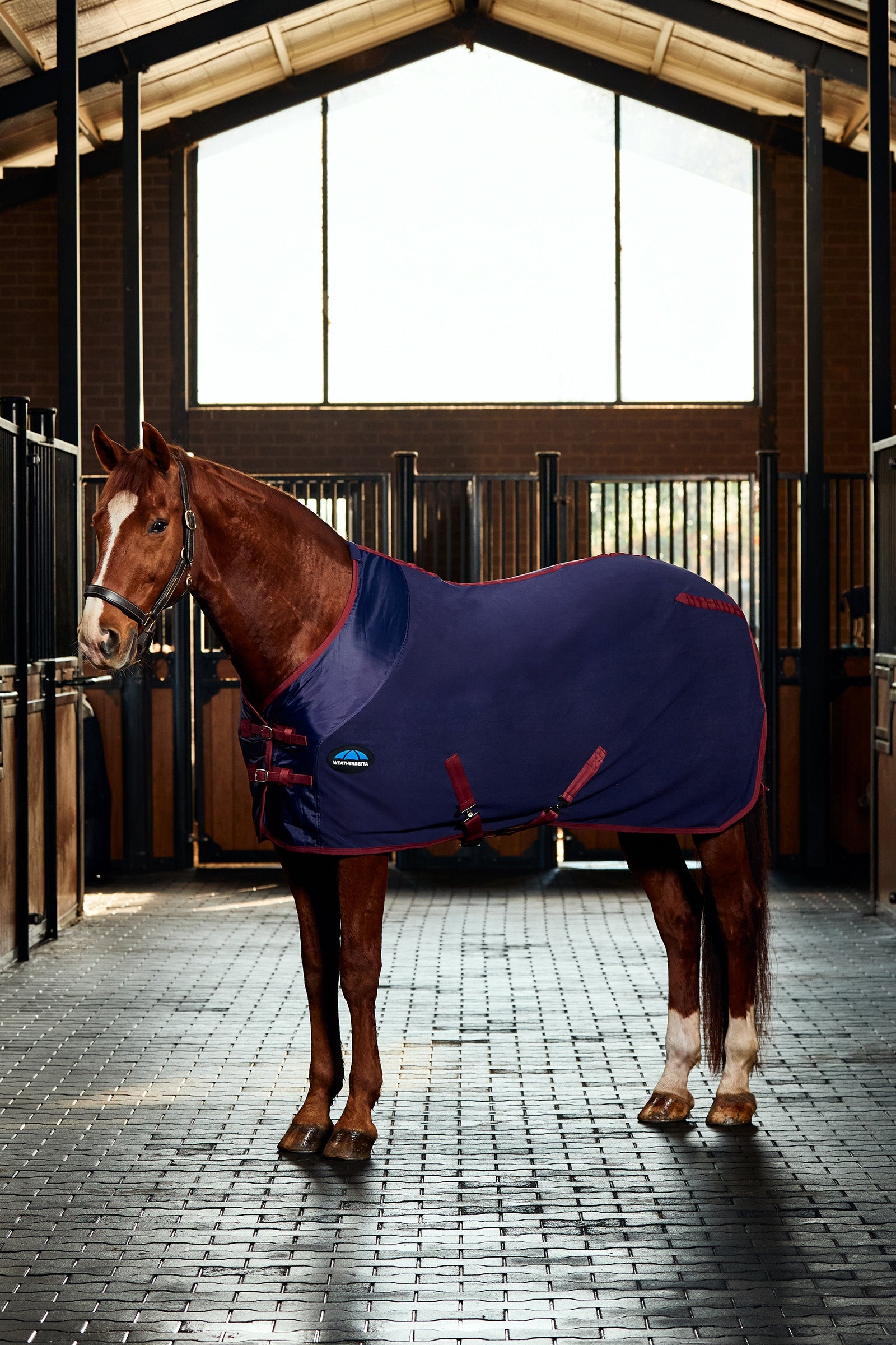 Weatherbeeta Anti-Sta Tic Fleece Cooler Rug Standard Neck Pferdedecken