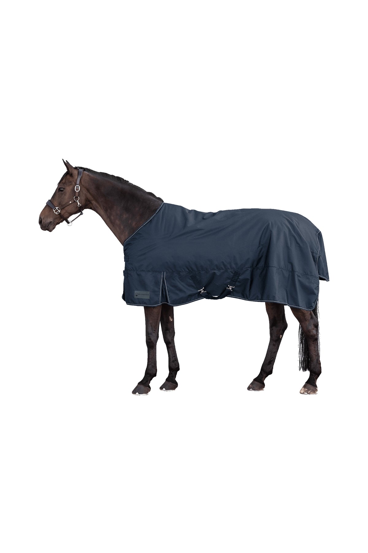 Waldhausen NORDIC 600D leichte Weidedecke Pferdedecken