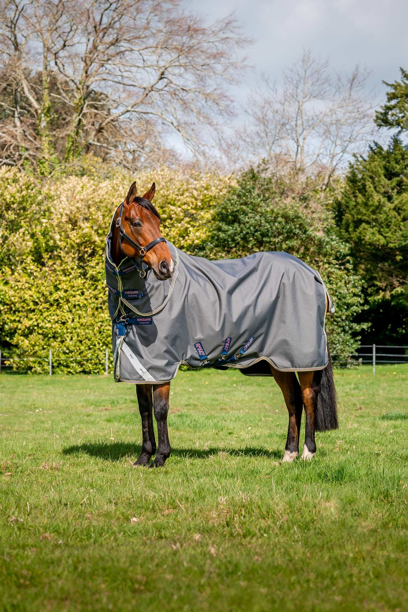 Horseware Amigo Bravo 12 Plus Turnout Rug With Detachable Neck, 0g Horse Rugs