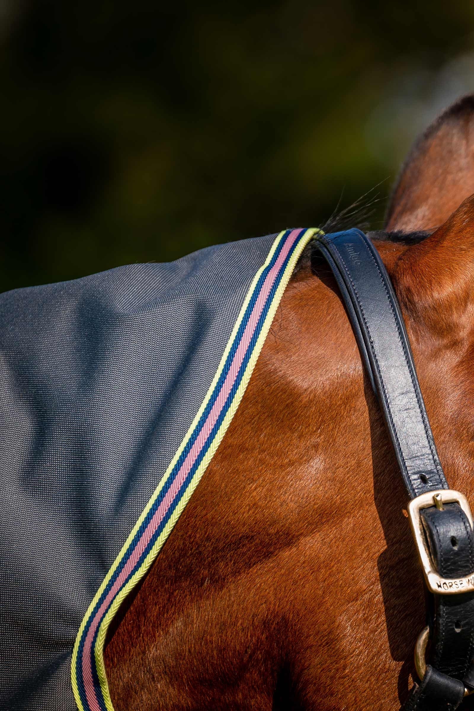 Horseware Amigo Bravo 12 Plus Turnout Rug With Detachable Neck, 0g Horse Rugs