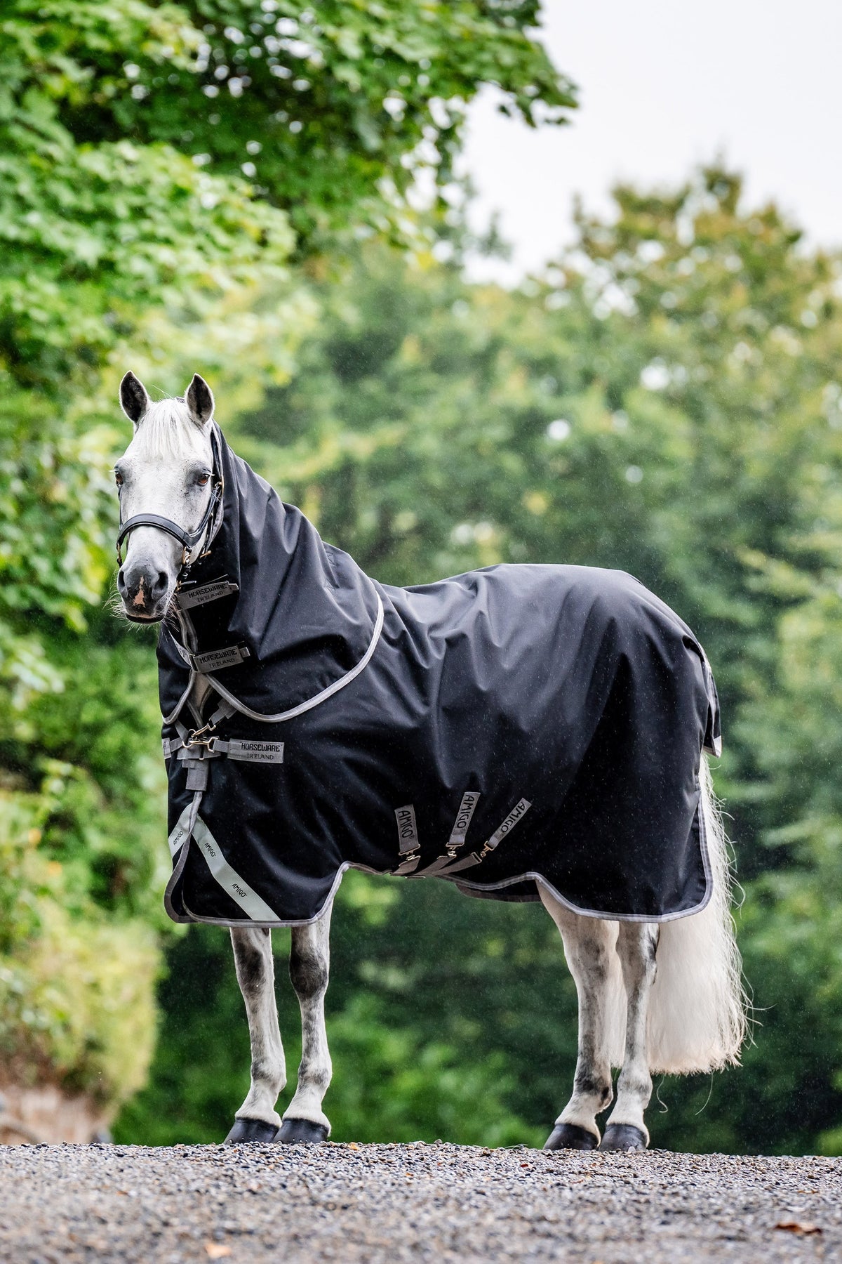 Horseware Amigo Bravo 12 Plus Turnout Rug With Detachable Neck, 0g Horse Rugs