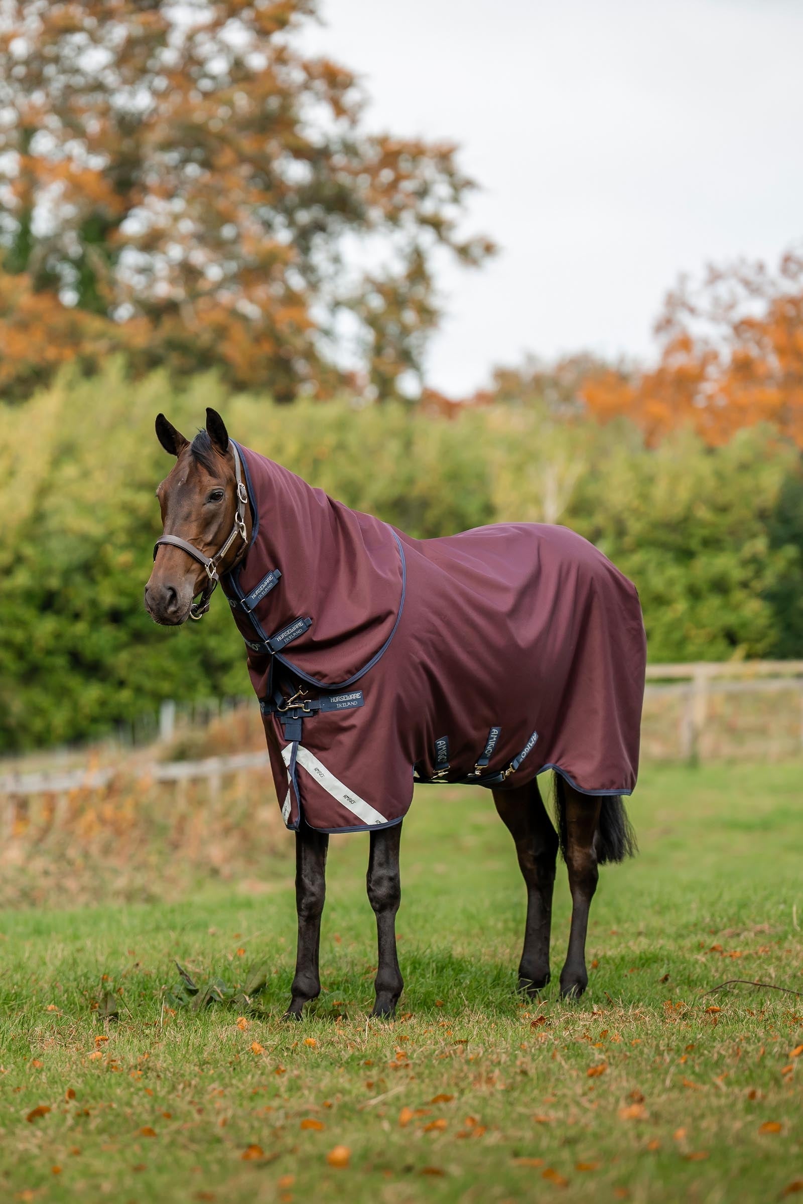 Horseware Amigo Bravo 12 Plus Turnout Rug With Detachable Neck, 0g Horse Rugs