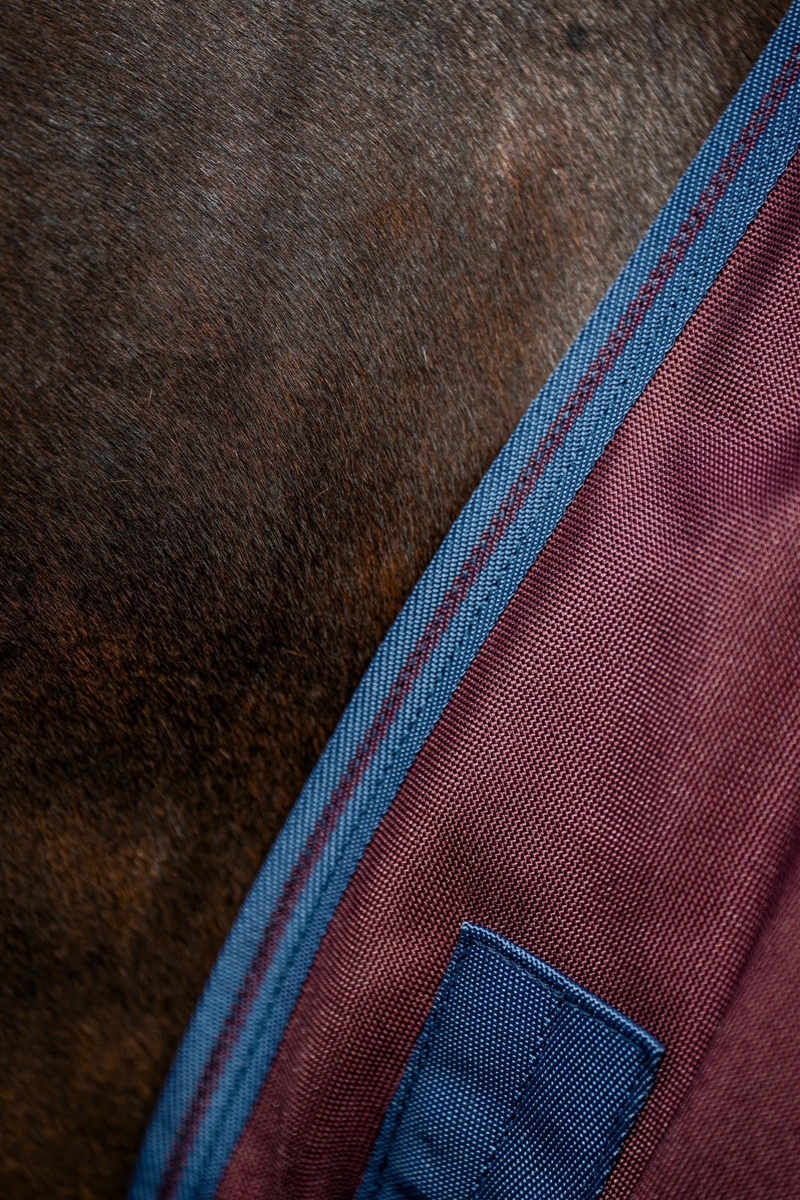 Horseware Amigo Bravo 12 Plus Turnout Rug With Detachable Neck, 0g Horse Rugs