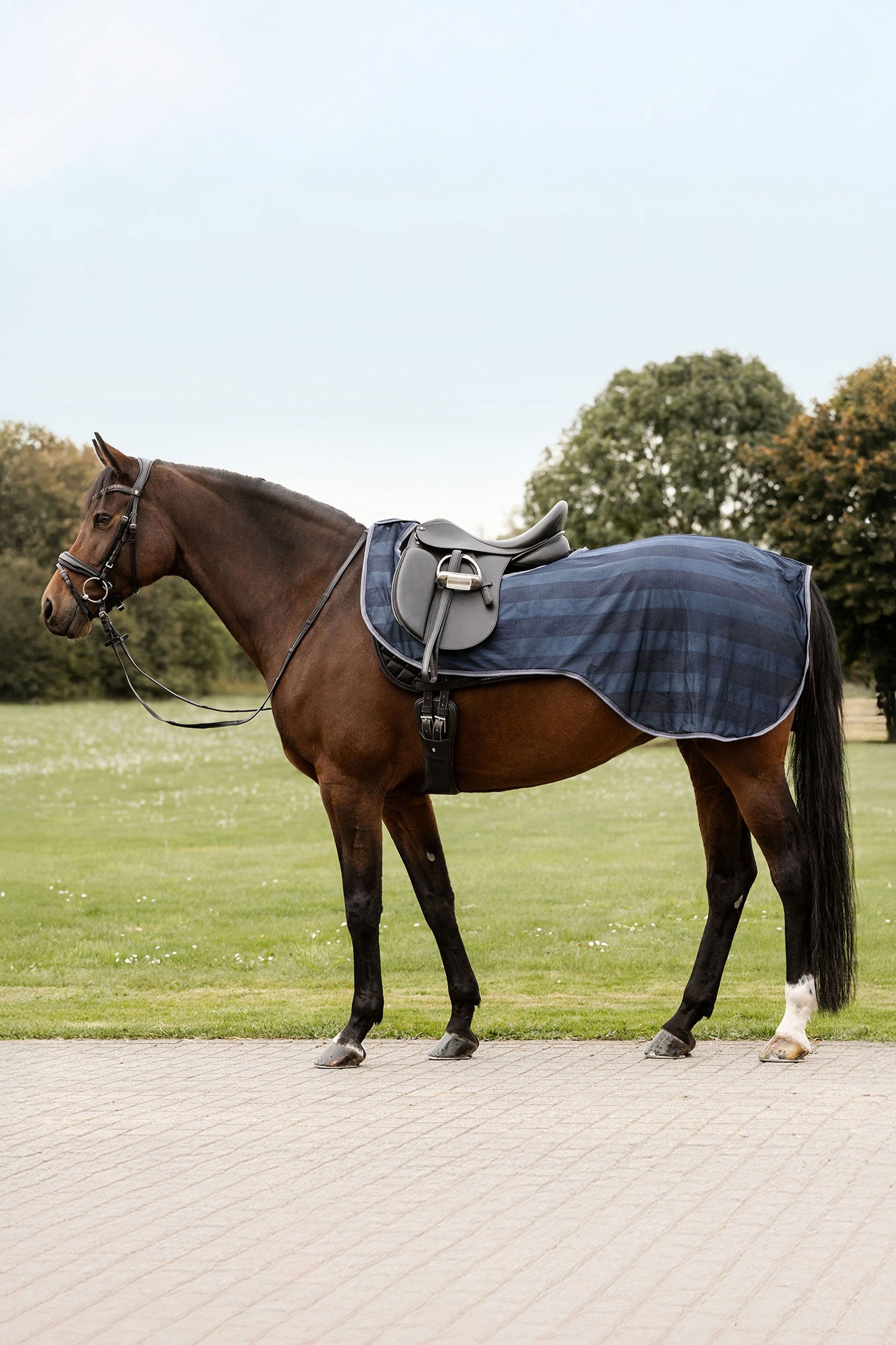 Waldhausen Economic Fliegen-Ausreitdecke Pferdedecken
