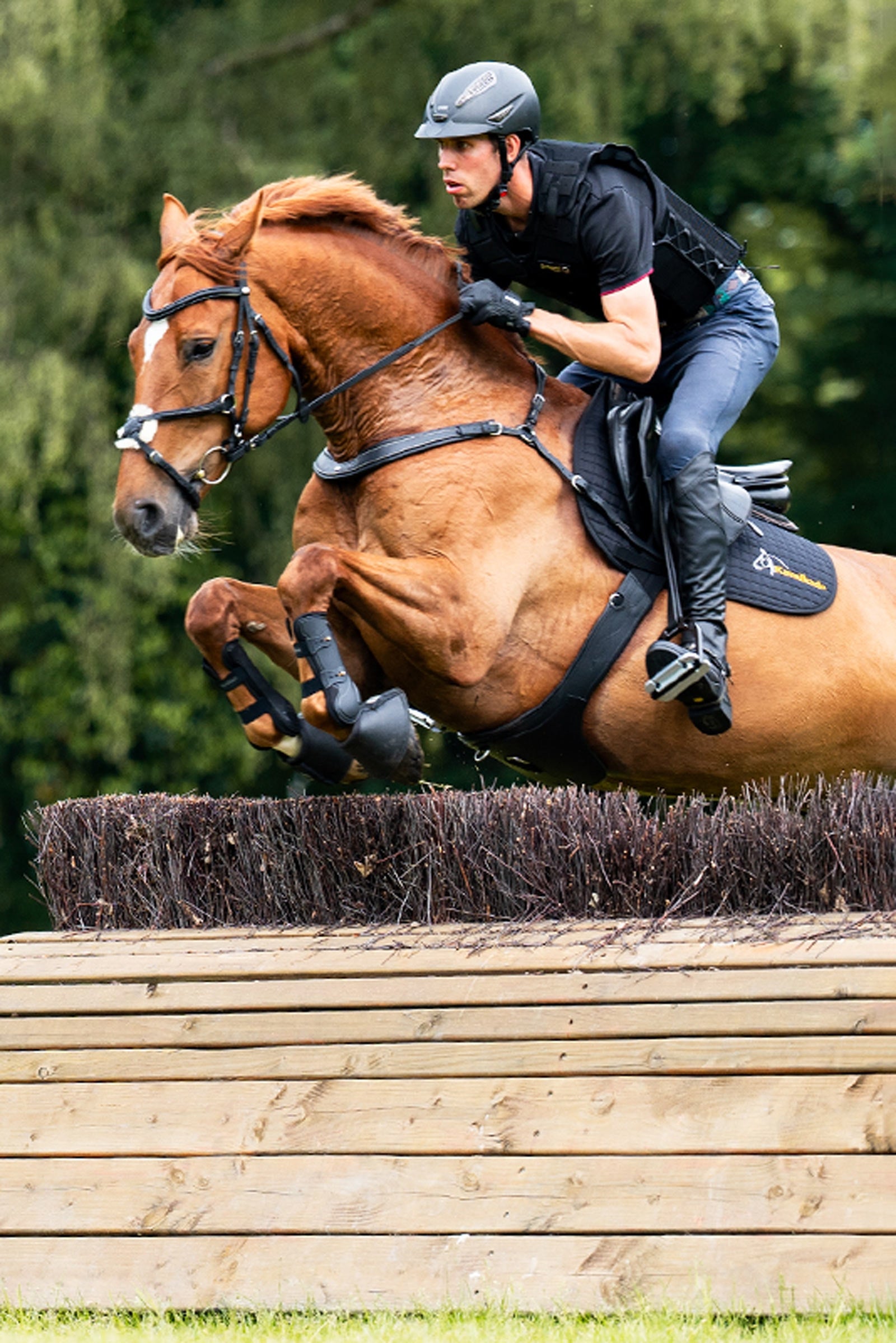 Kavalkade Jerome 2-Point Breastplate Bridles & Reins