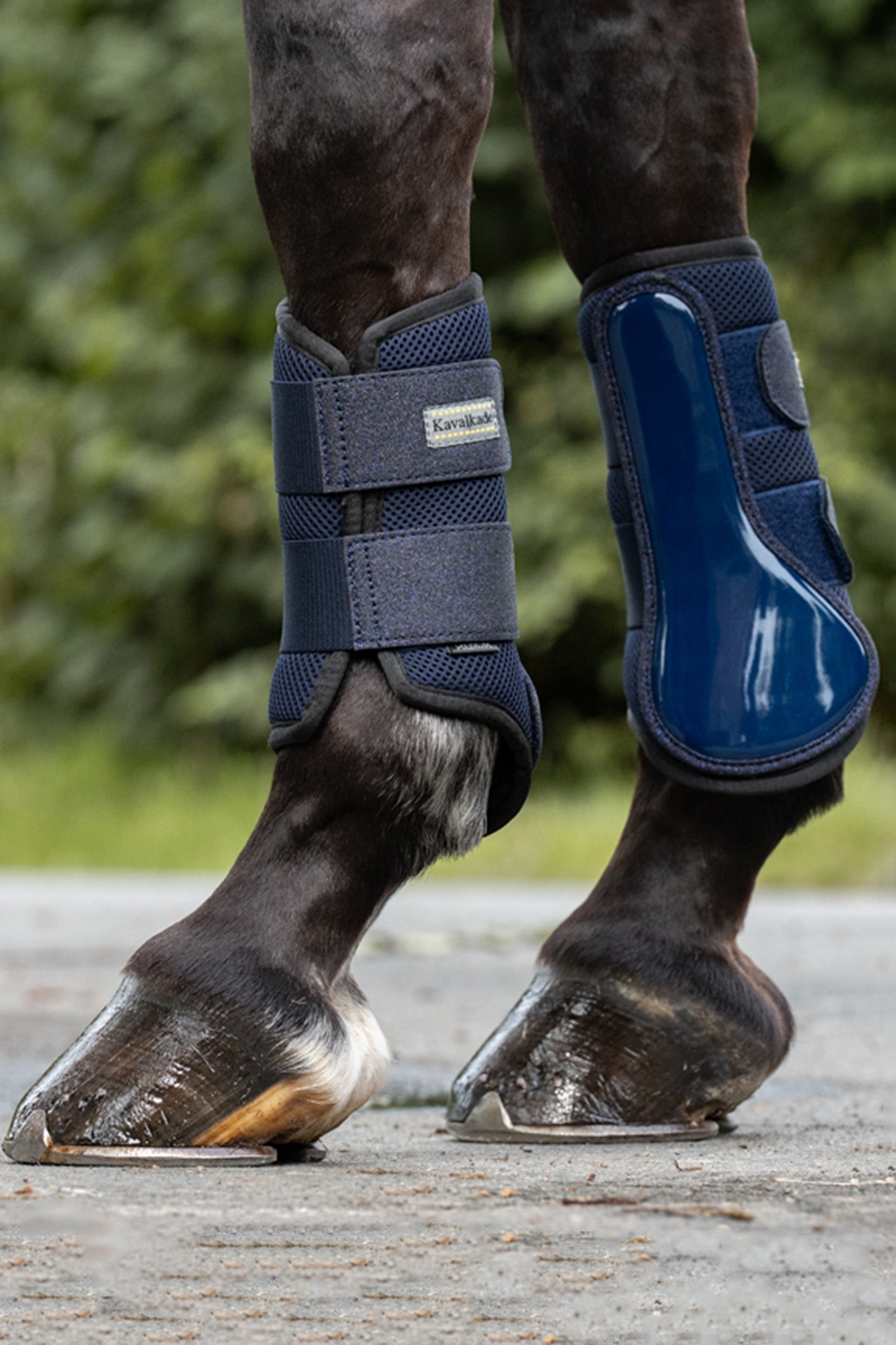 Kavalkade Anatomic Star Mesh Brushing Boots (1Pair) Leg Protection & Hoof Protection for Horses
