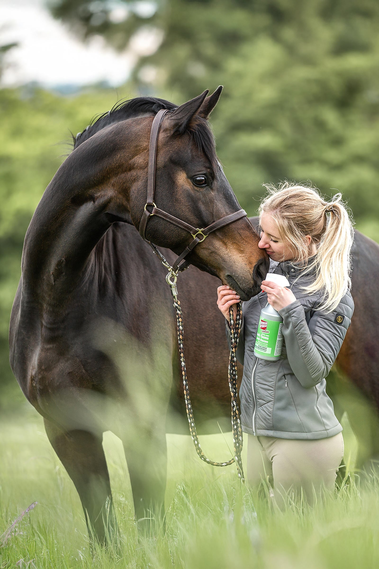 Bremsenbremse Insect Protection - Classic 750ml Antifly Protection for Horses