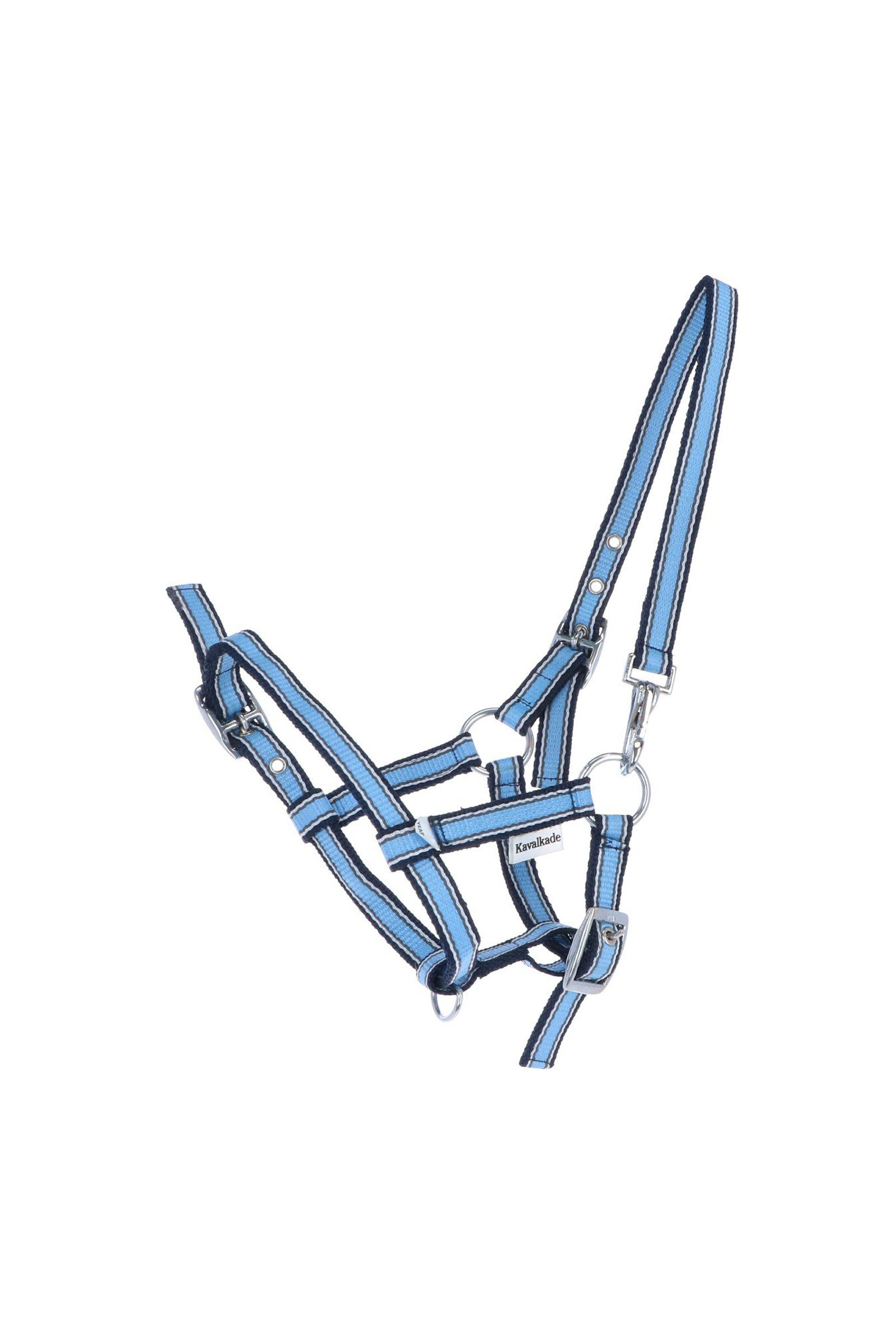 Kavalkade Fohlen- & Jährlingshalfter Halfter & Stricke