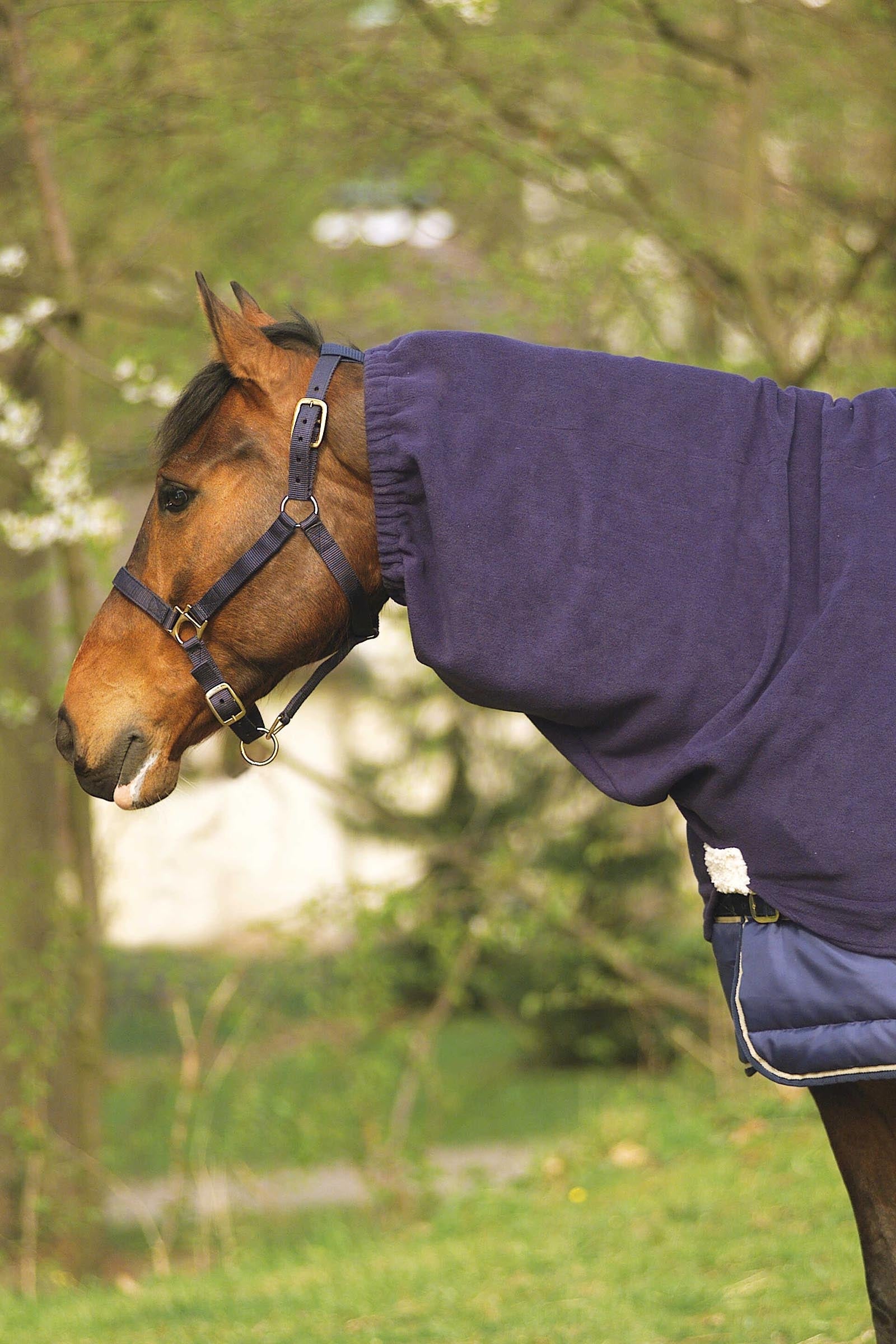EQUITHÈME Polar Fleece Halsteil Pferdedecken