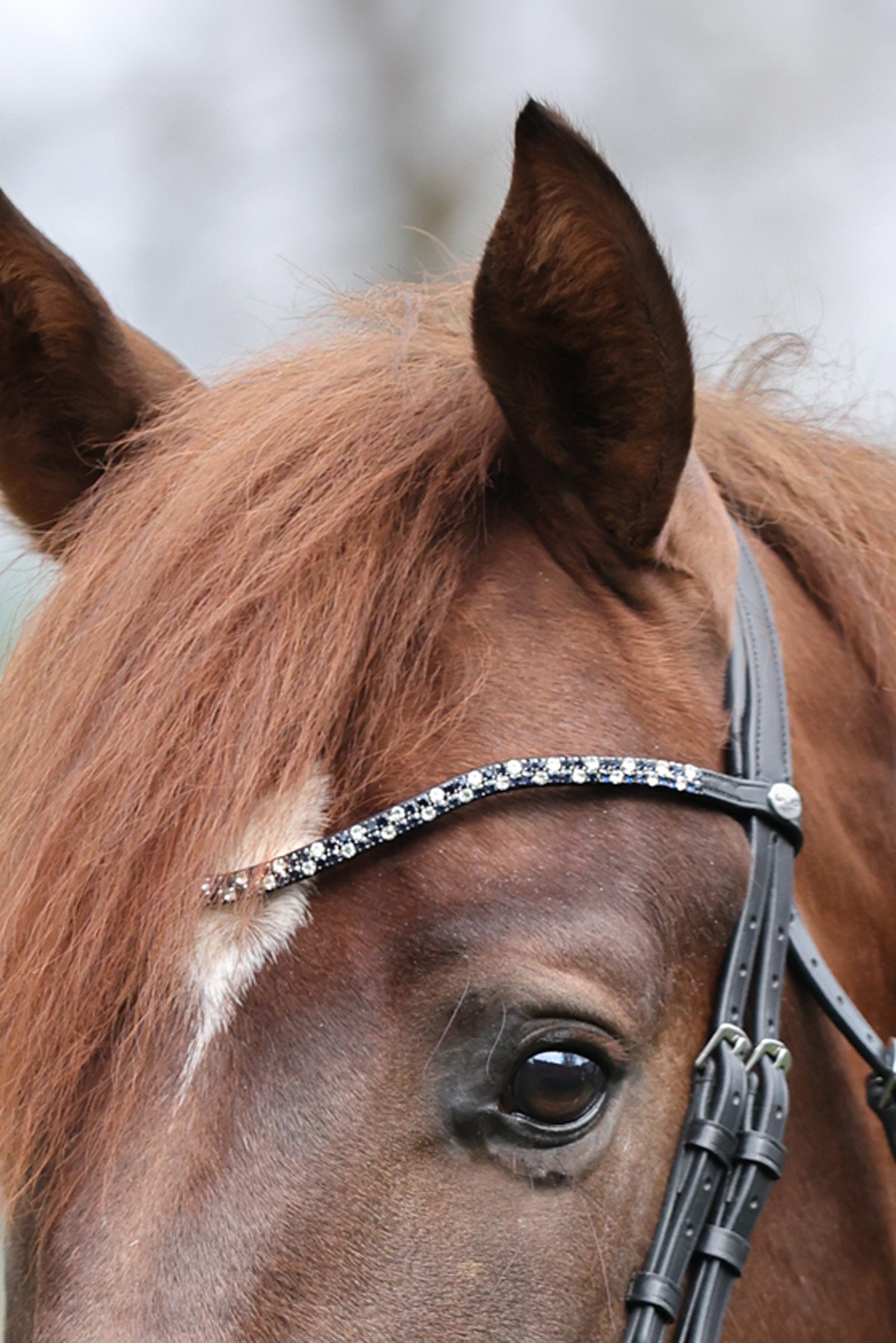Kavalkade Hopscotch Browband Bridles & Reins