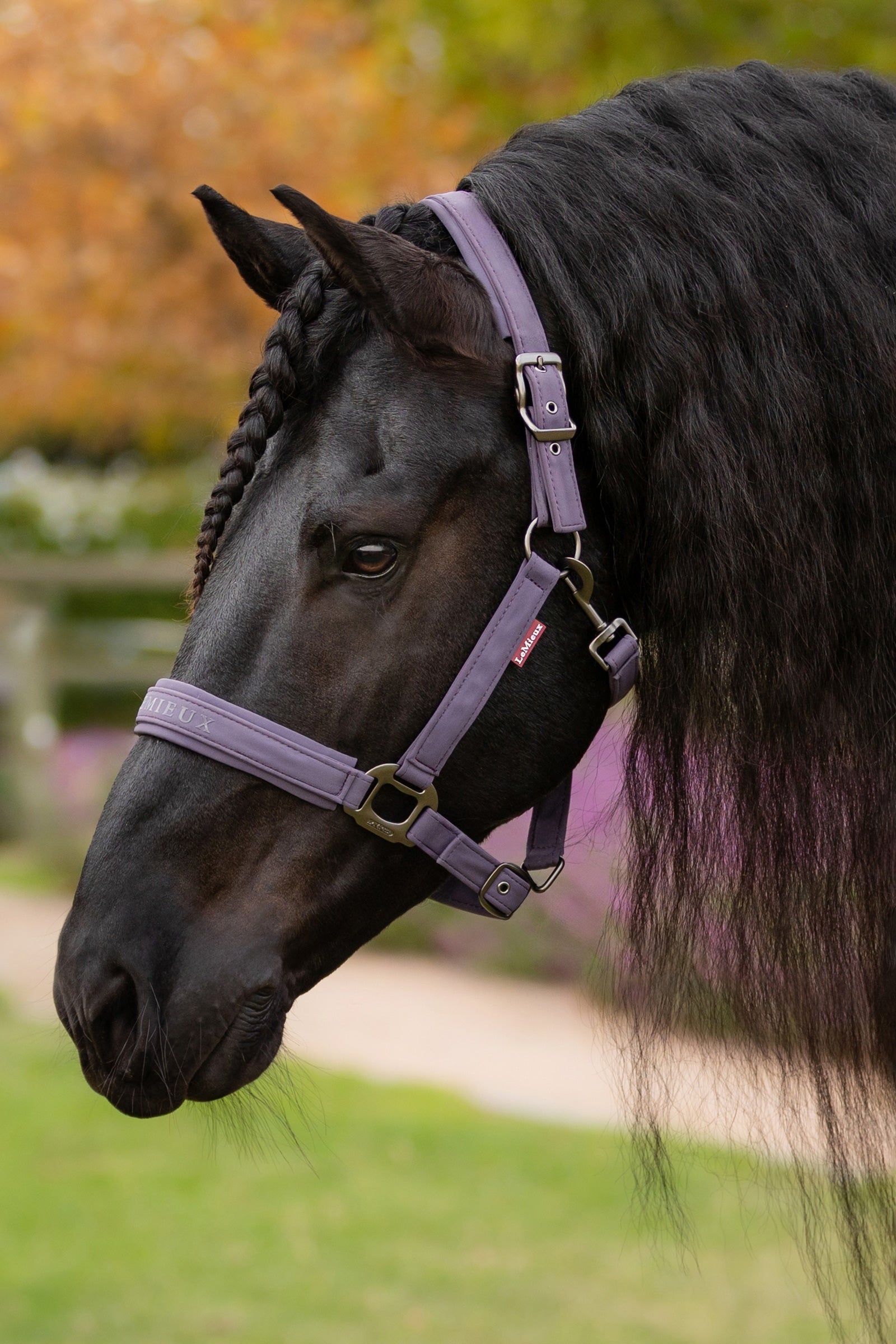 LeMieux Essence Headcollar Halters & Leads