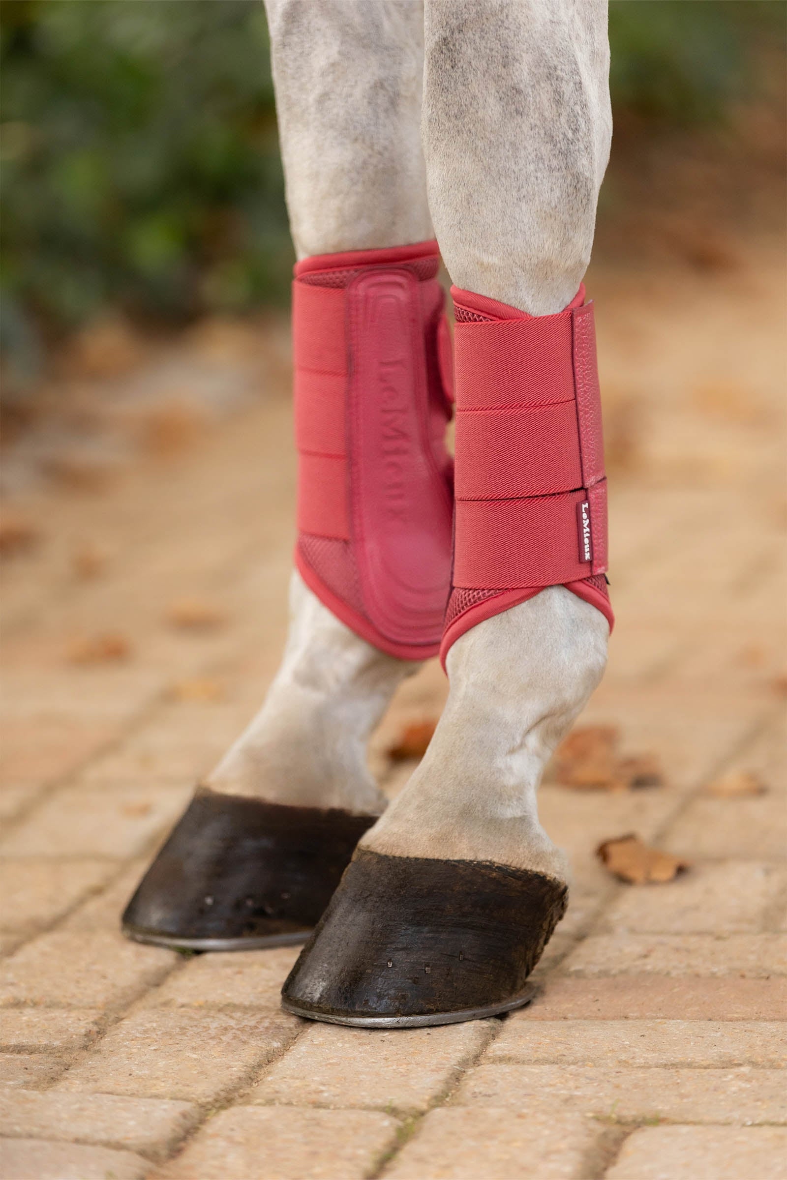 LeMieux Arika Mesh Dressurgamaschen Leg Protection & Hoof Protection for Horses