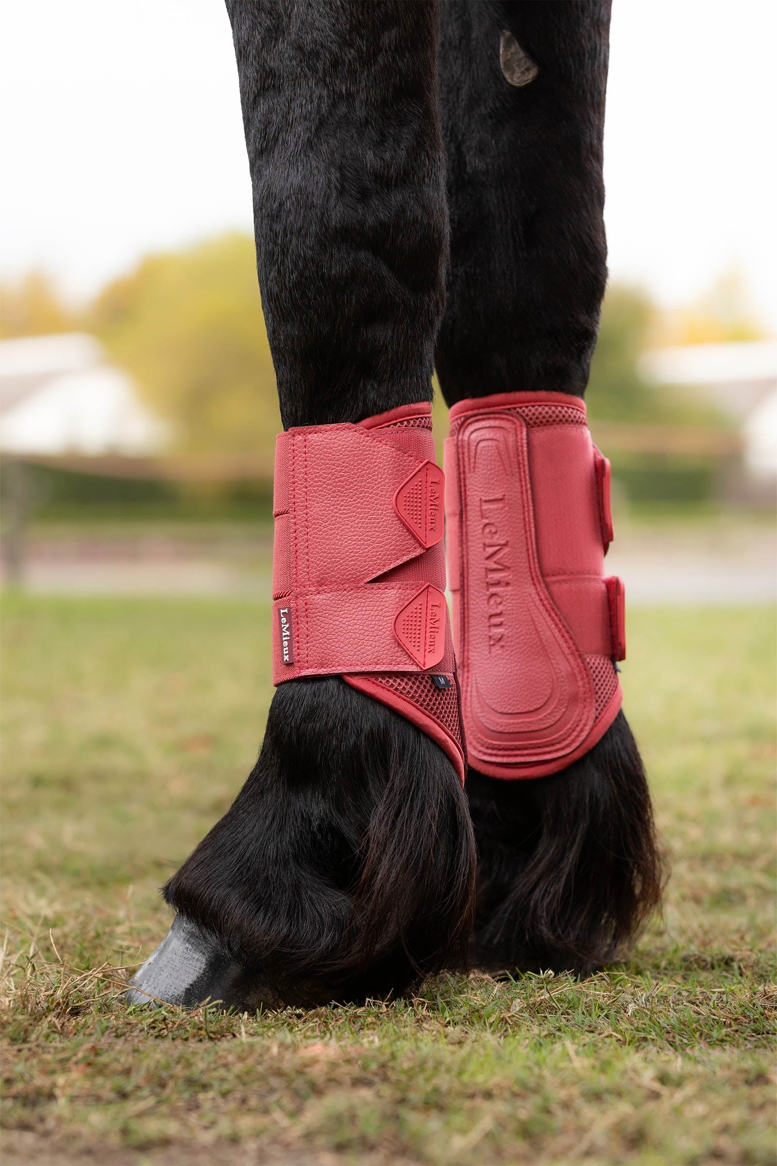 LeMieux Arika Mesh Brushing Boots Leg Protection & Hoof Protection for Horses