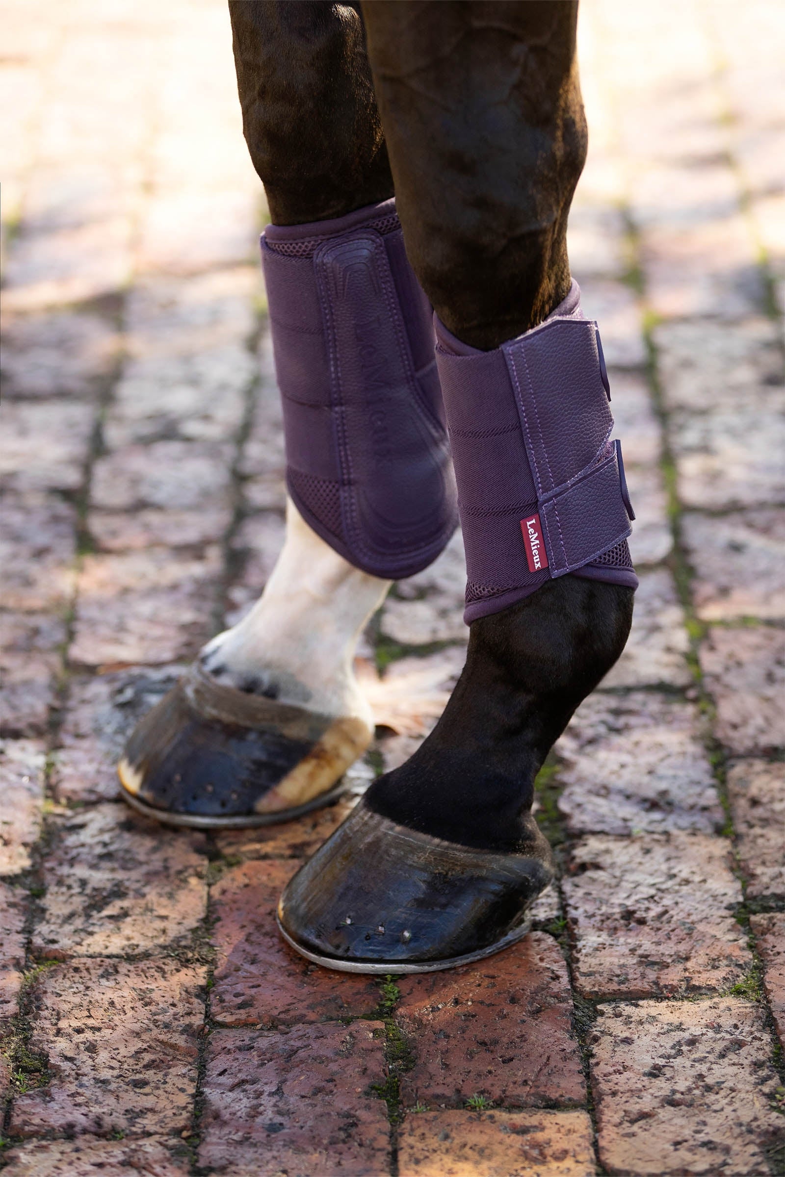 LeMieux Arika Mesh Brushing Boots Leg Protection & Hoof Protection for Horses