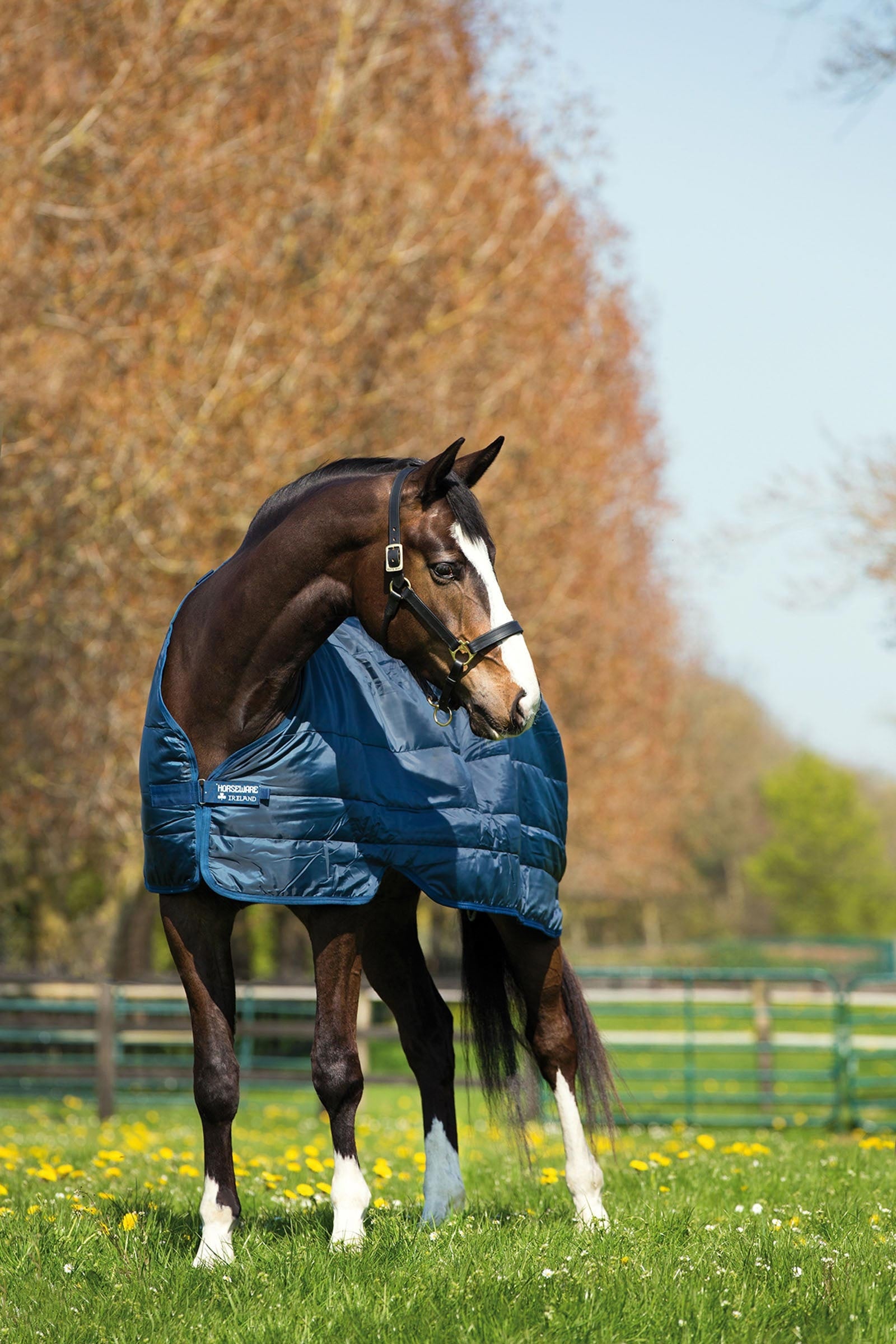 Horseware Liner Unterdecke, 100g Pferdedecken