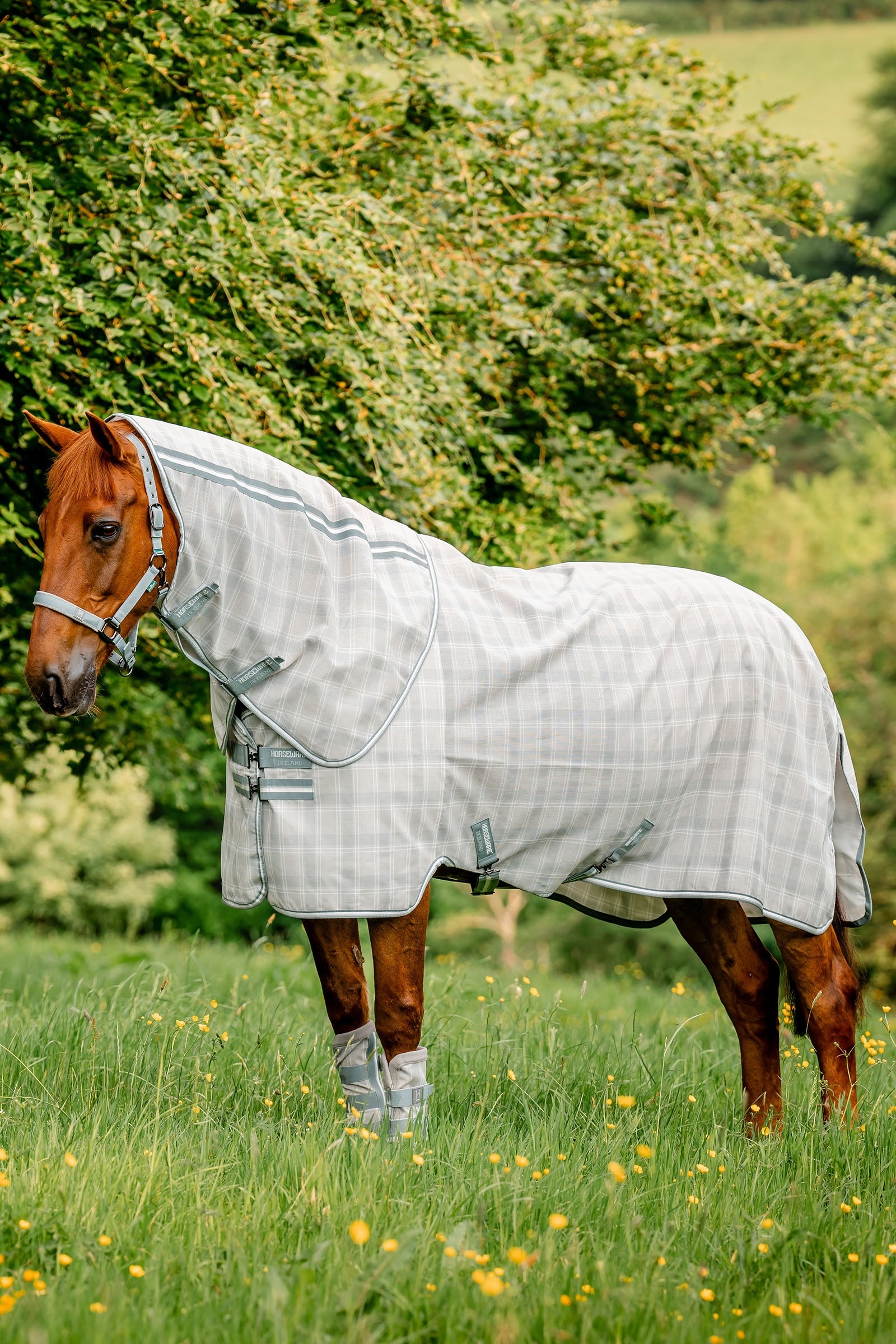 Horseware Newmarket Plus Fliegendecke Pferdedecken