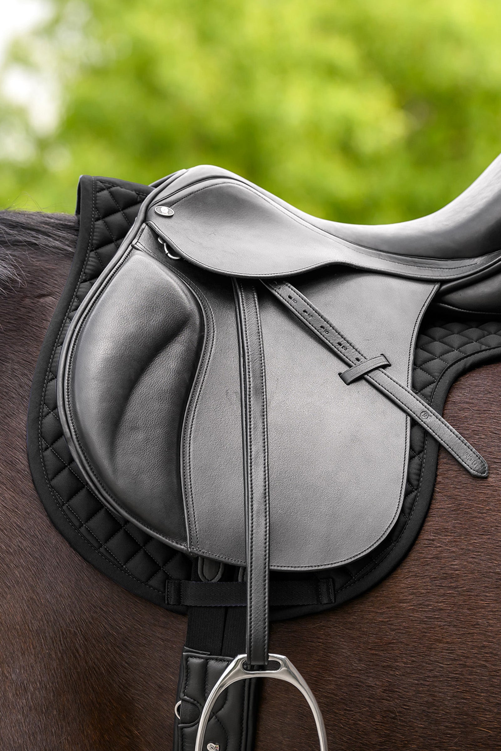Waldhausen Star Numnah Dressage Pad Saddle Pads