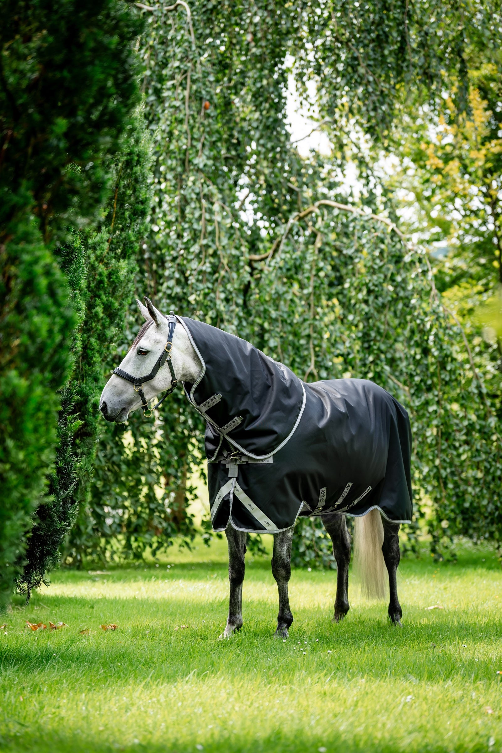 Horseware Amigo 1200D Plus Turnout Rug, 50 g Horse Rugs