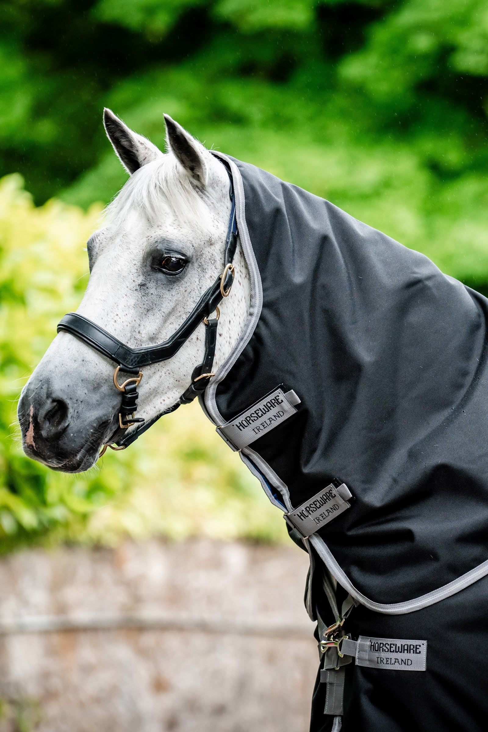 Horseware Amigo 1200D Plus Turnout Rug, 50 g Horse Rugs