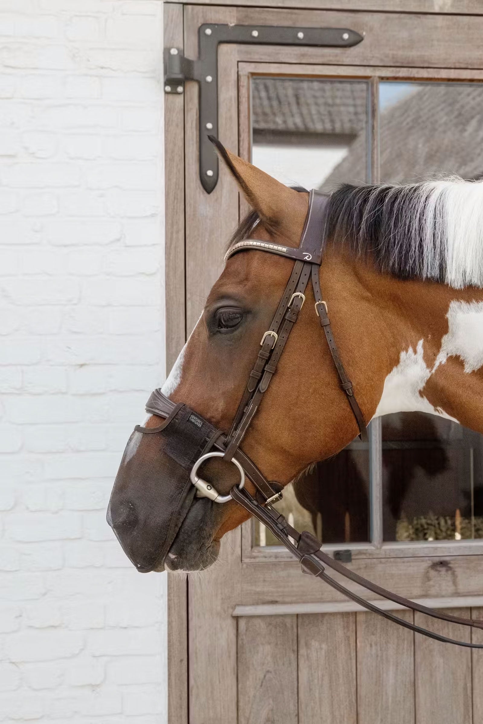 Kentucky Horsewear Anti fly nose net Antifly Protection for Horses