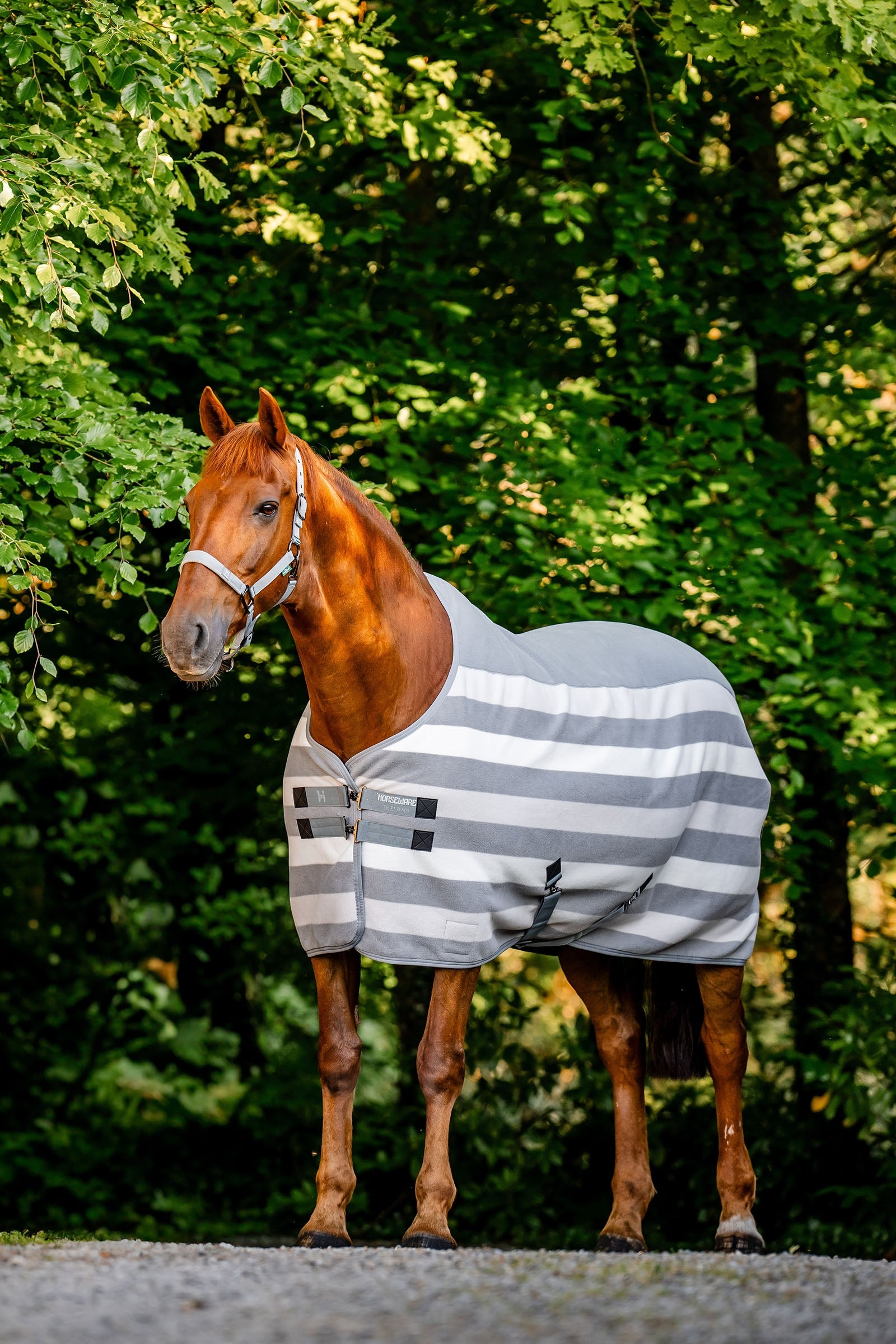 Horseware Newmarket Fleece Abschwitzdecke Pferdedecken