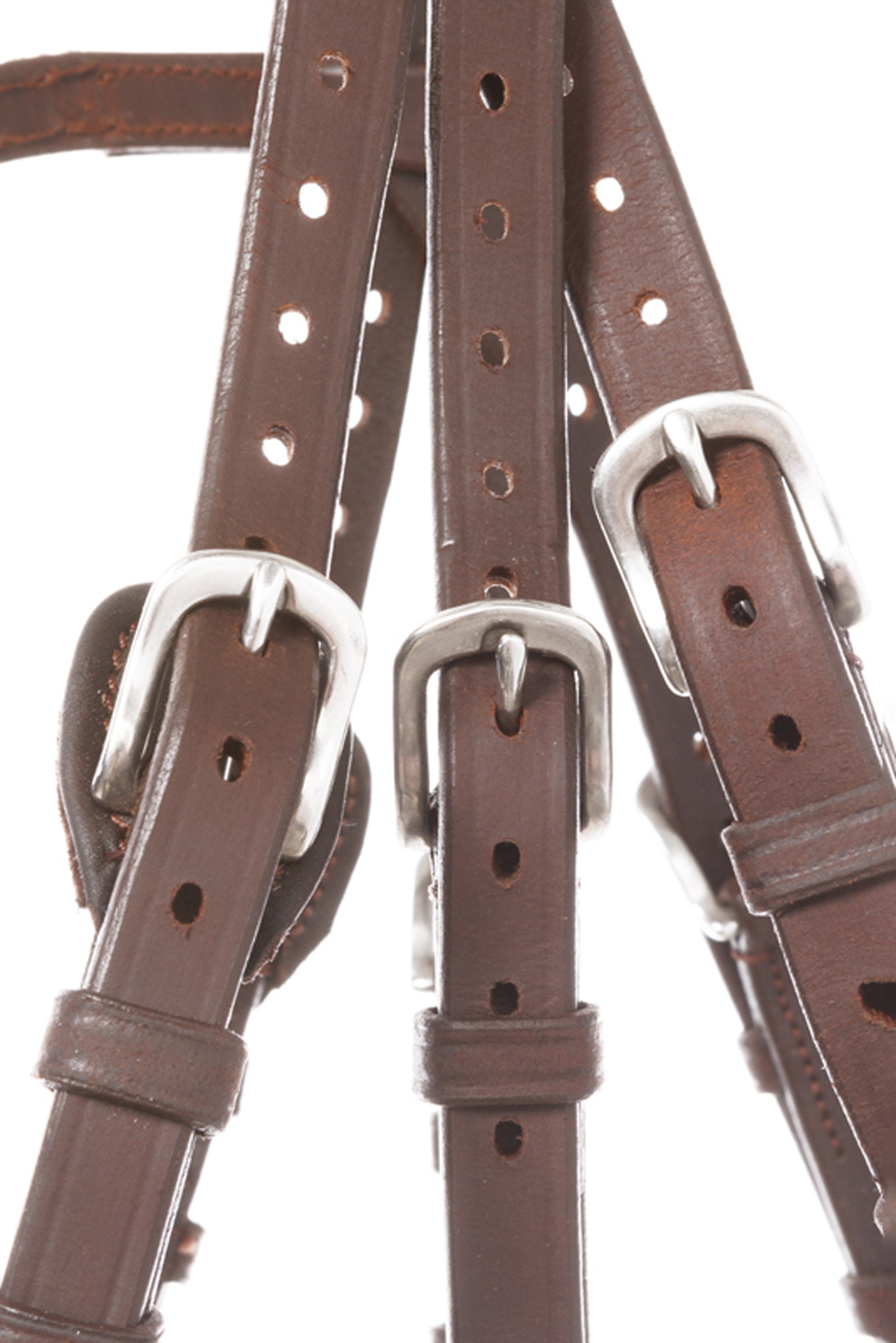 Kavalkade Bridle Everlyn crank nb-flash Bridles & Reins