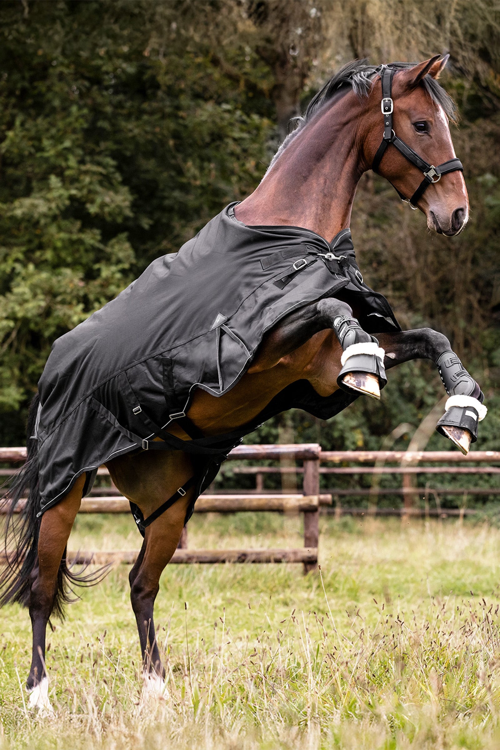 Waldhausen Outdoor Rug Scandic 50g Horse Rugs