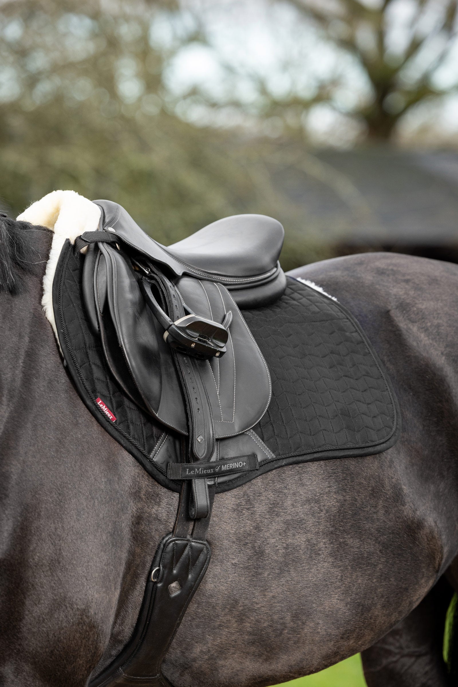 LeMieux Merino+ Suede Eurojump Saddle Pad Saddle Pads