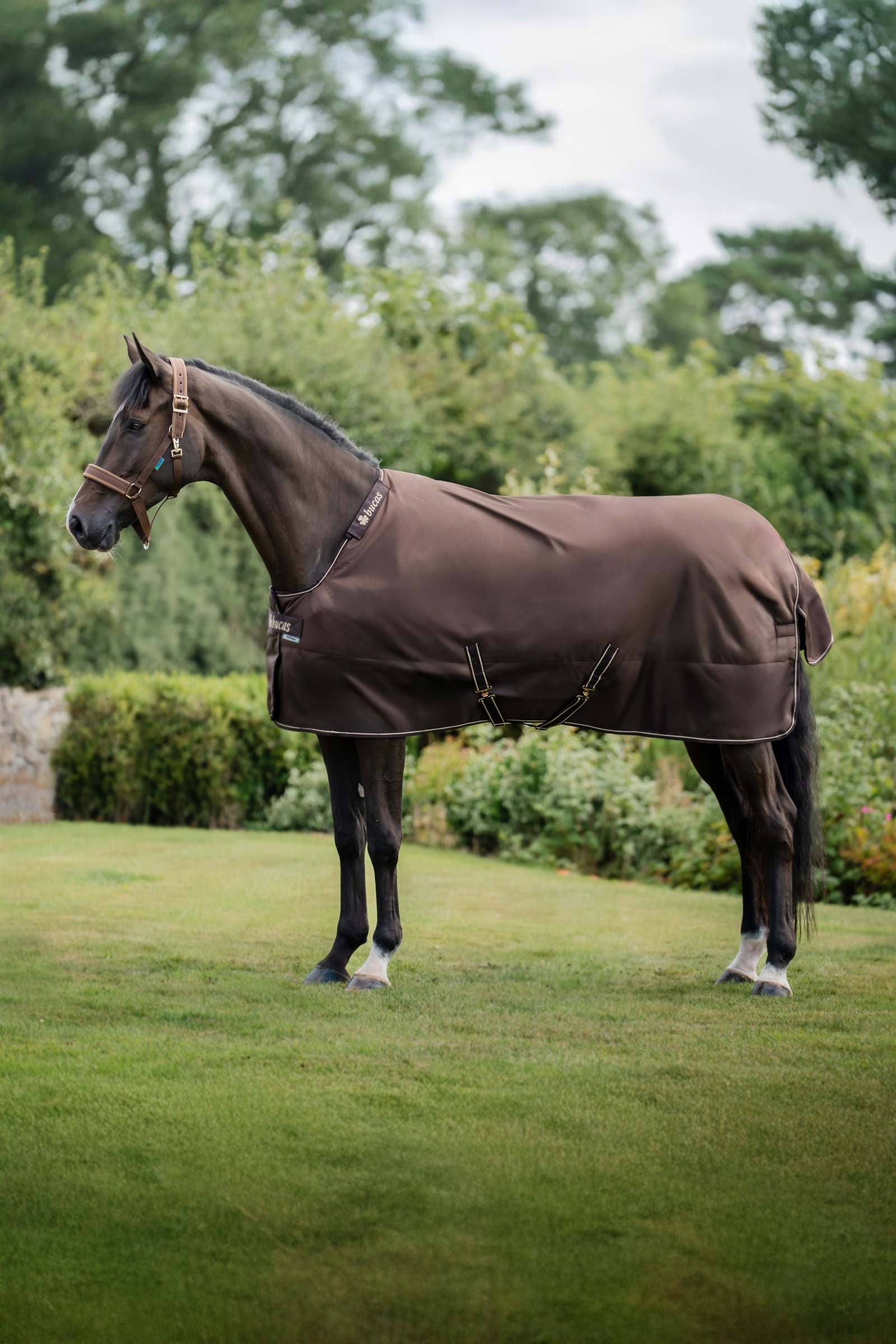 Bucas Irish Turnout Rug, 300 g & Neck Set Pferdedecken