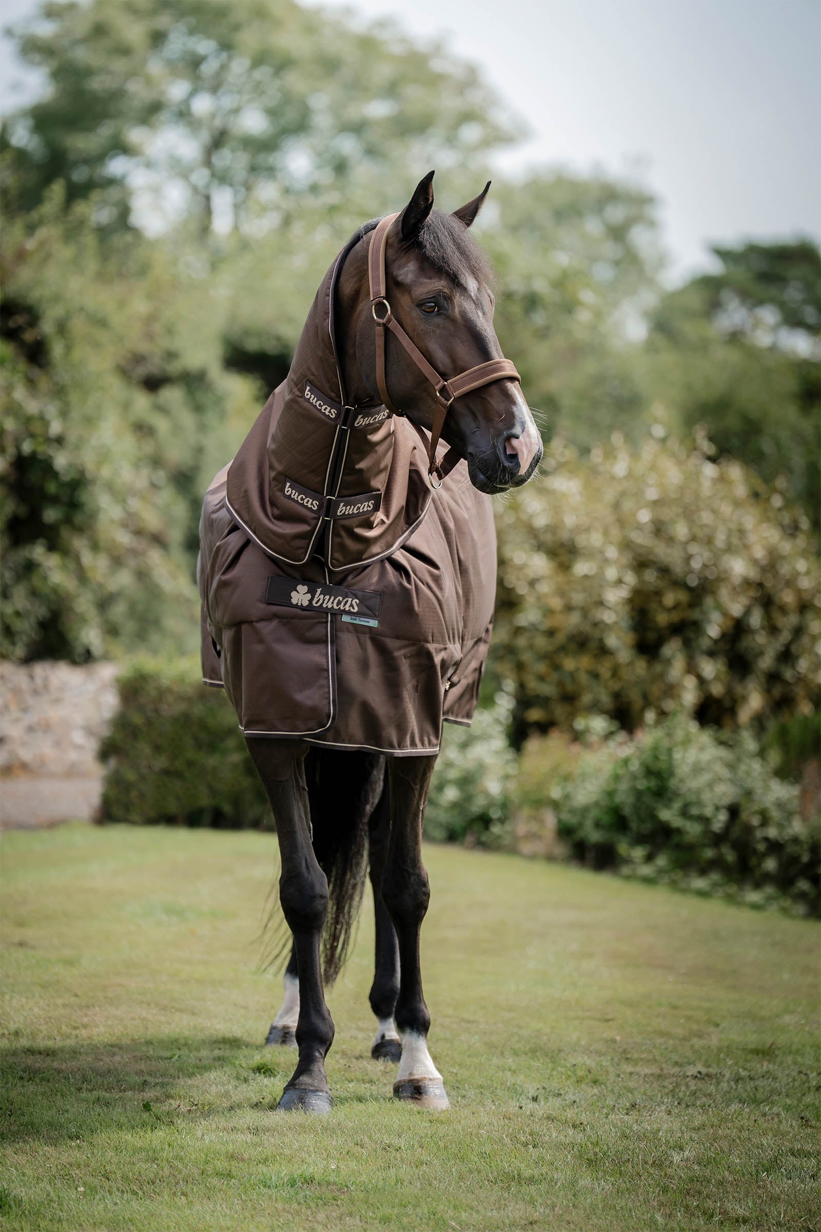 Bucas Irish Turnout Rug, 300 g & Neck Set Horse Rugs