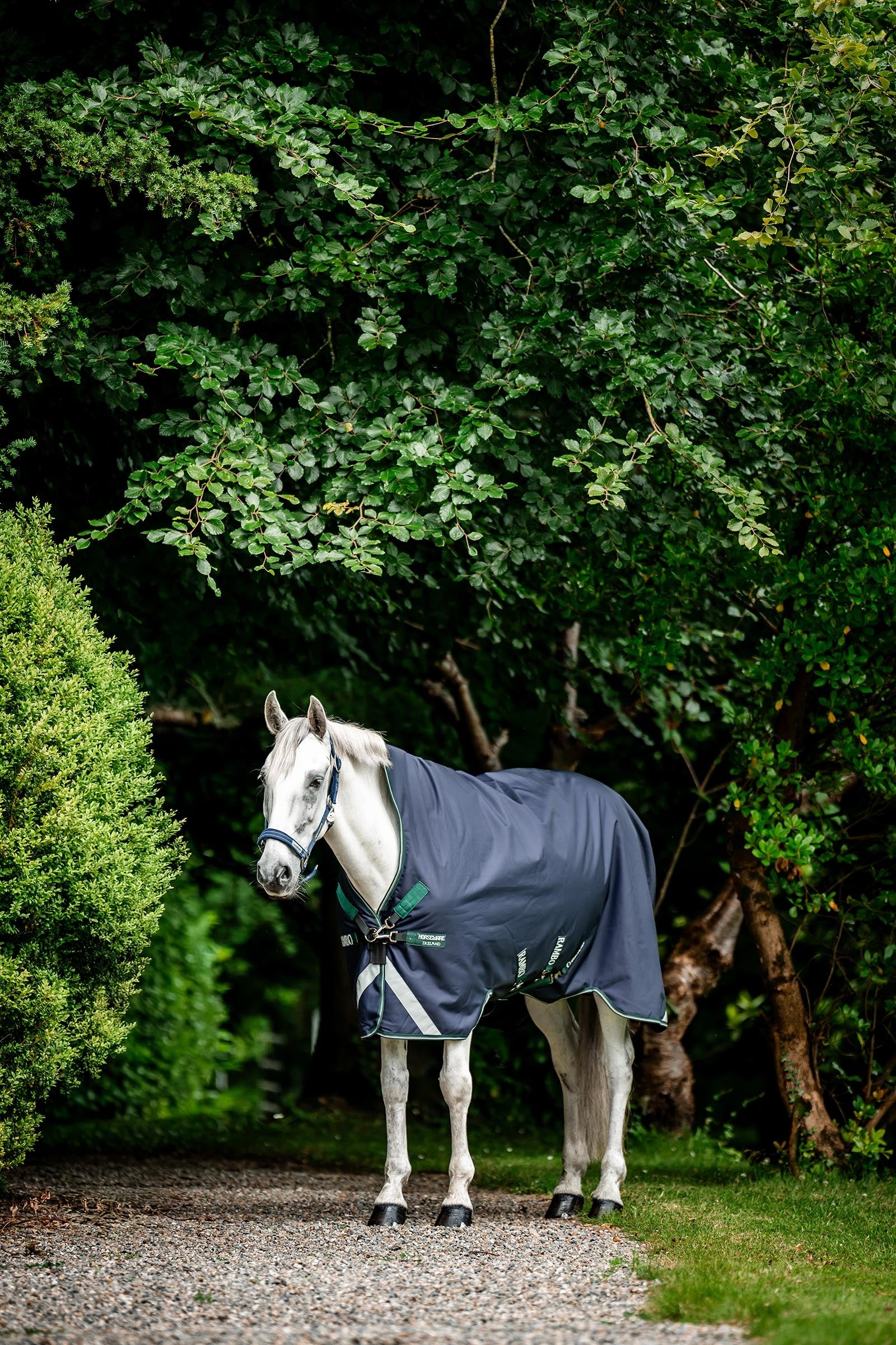 Horseware Rambo 1680D Wug Turnout 50 g Horse Rugs