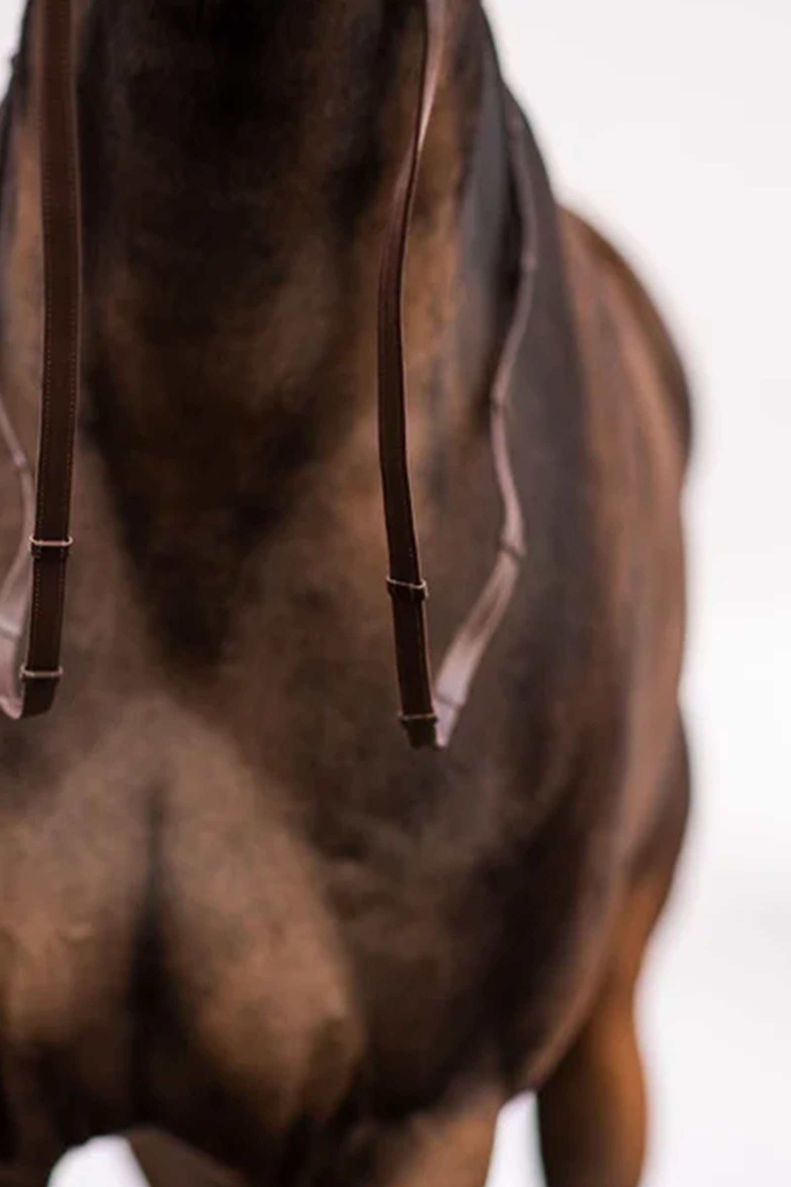 PS of Sweden Reins Softy Bridles & Reins