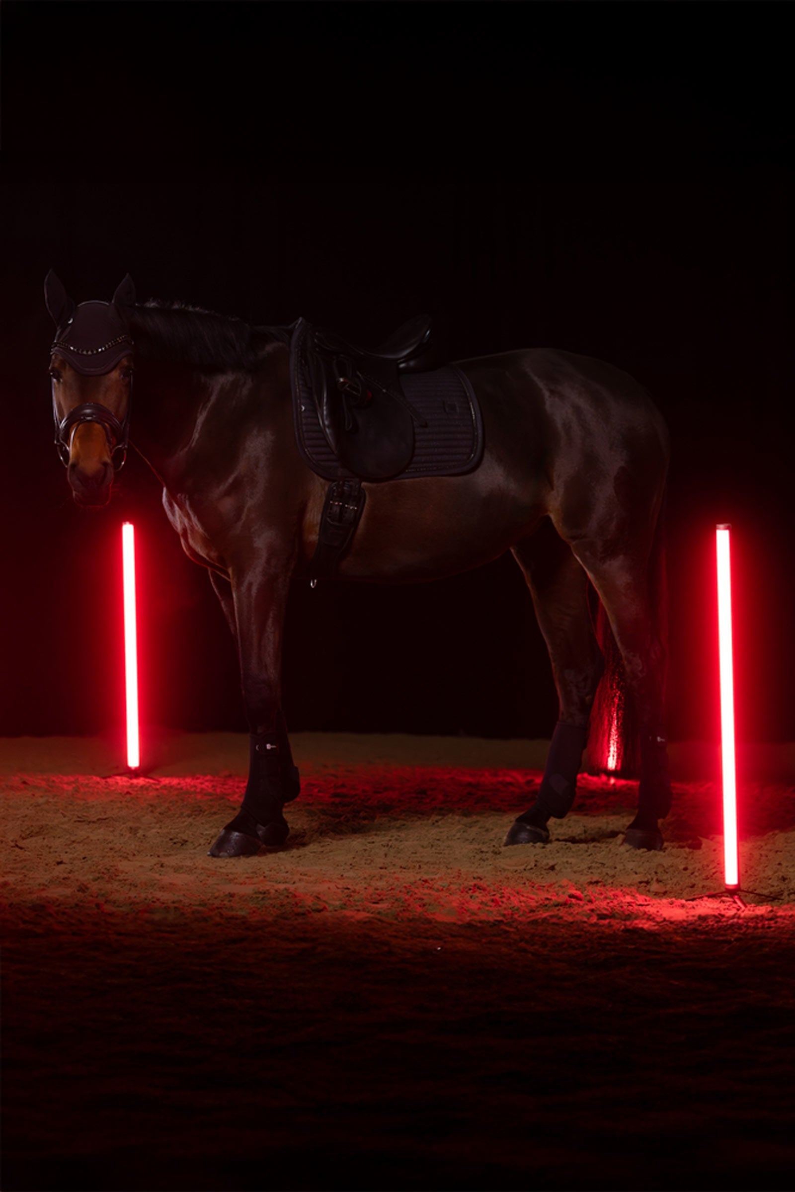 Eskadron Dynamics AW25 Sparkle Crystal Dressage Saddle Pad Saddle Pads