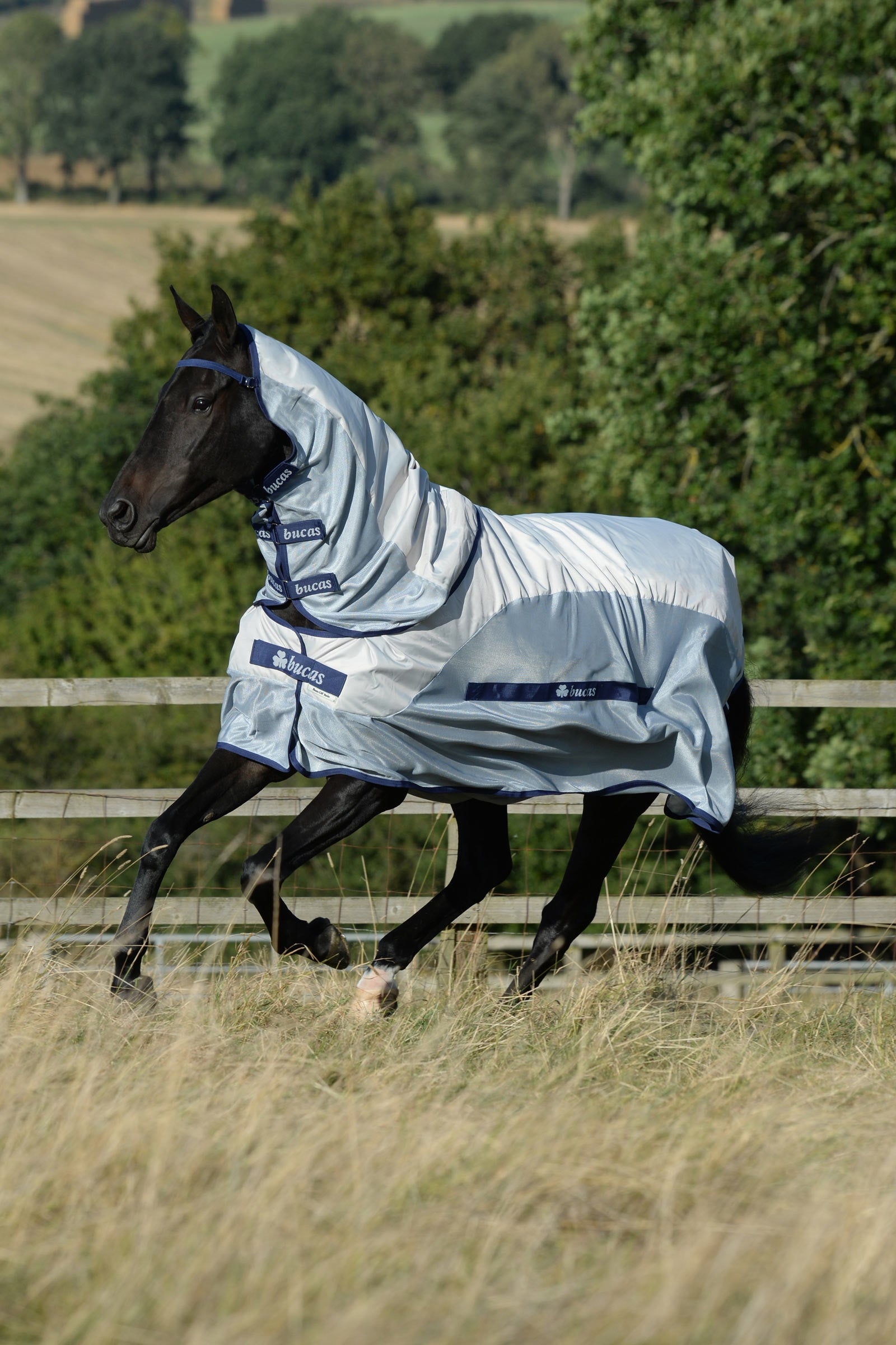 Bucas Buzz-off Rain Fly & Rug with Removable Neck Horse Rugs