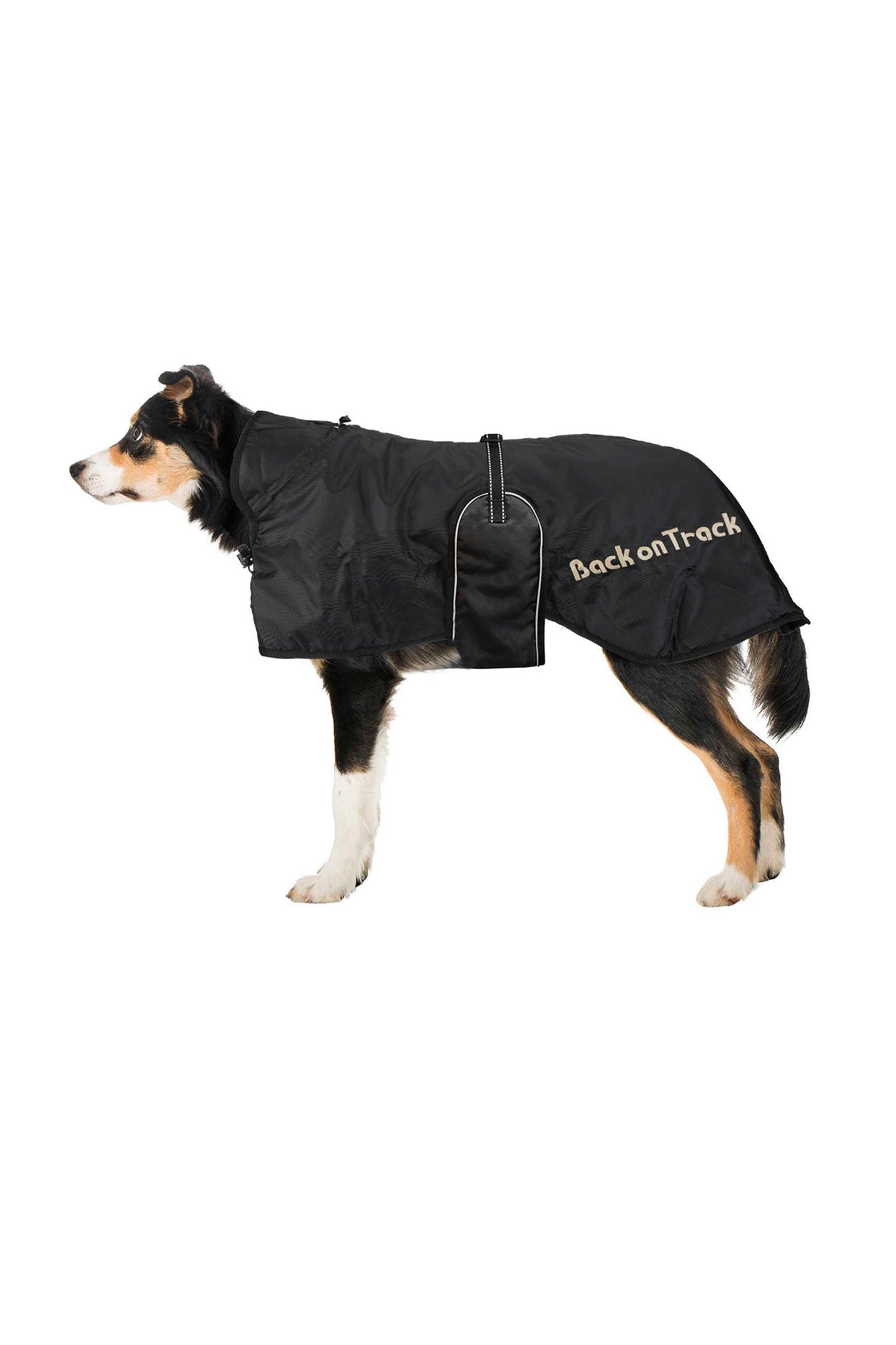 Back on Track Hundemantel (43-59) Hund