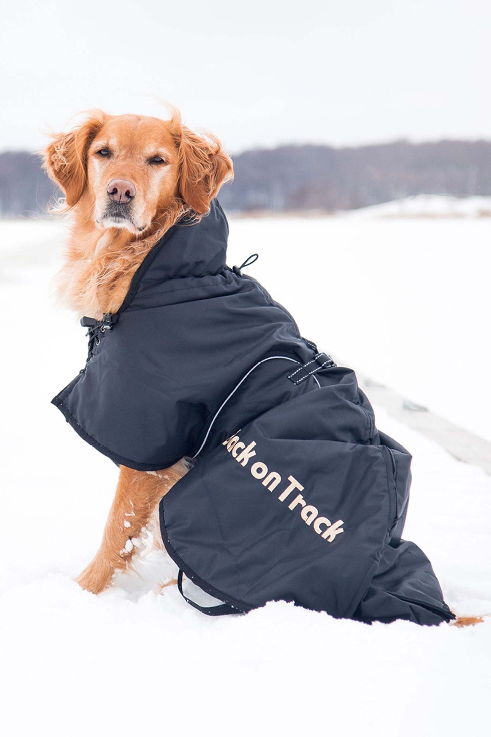 Back on Track Dog Rug 21-40 Dog Accesories