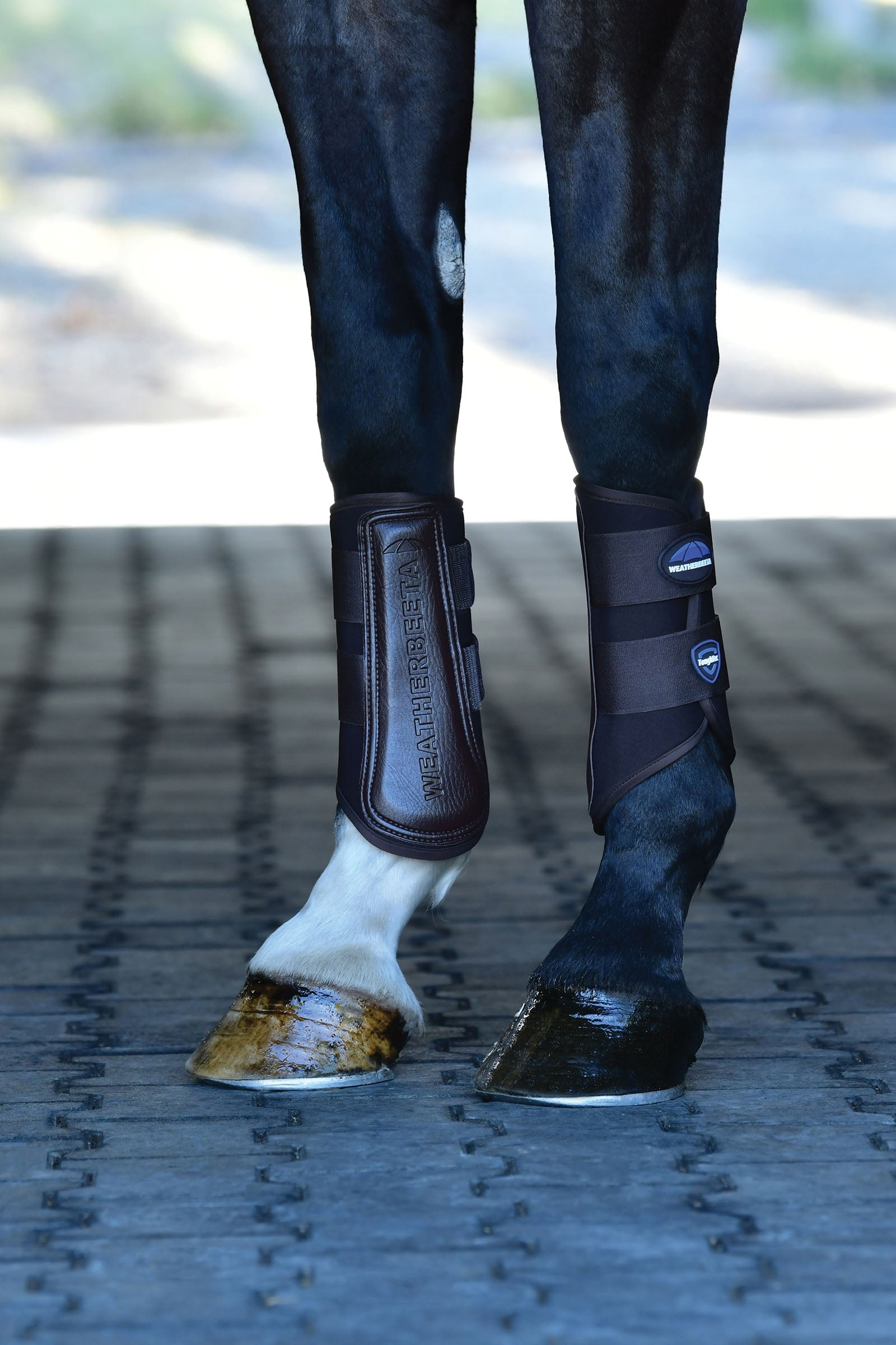 Weatherbeeta Tough-Tec Prime Brushing Boots Leg Protection & Hoof Protection for Horses