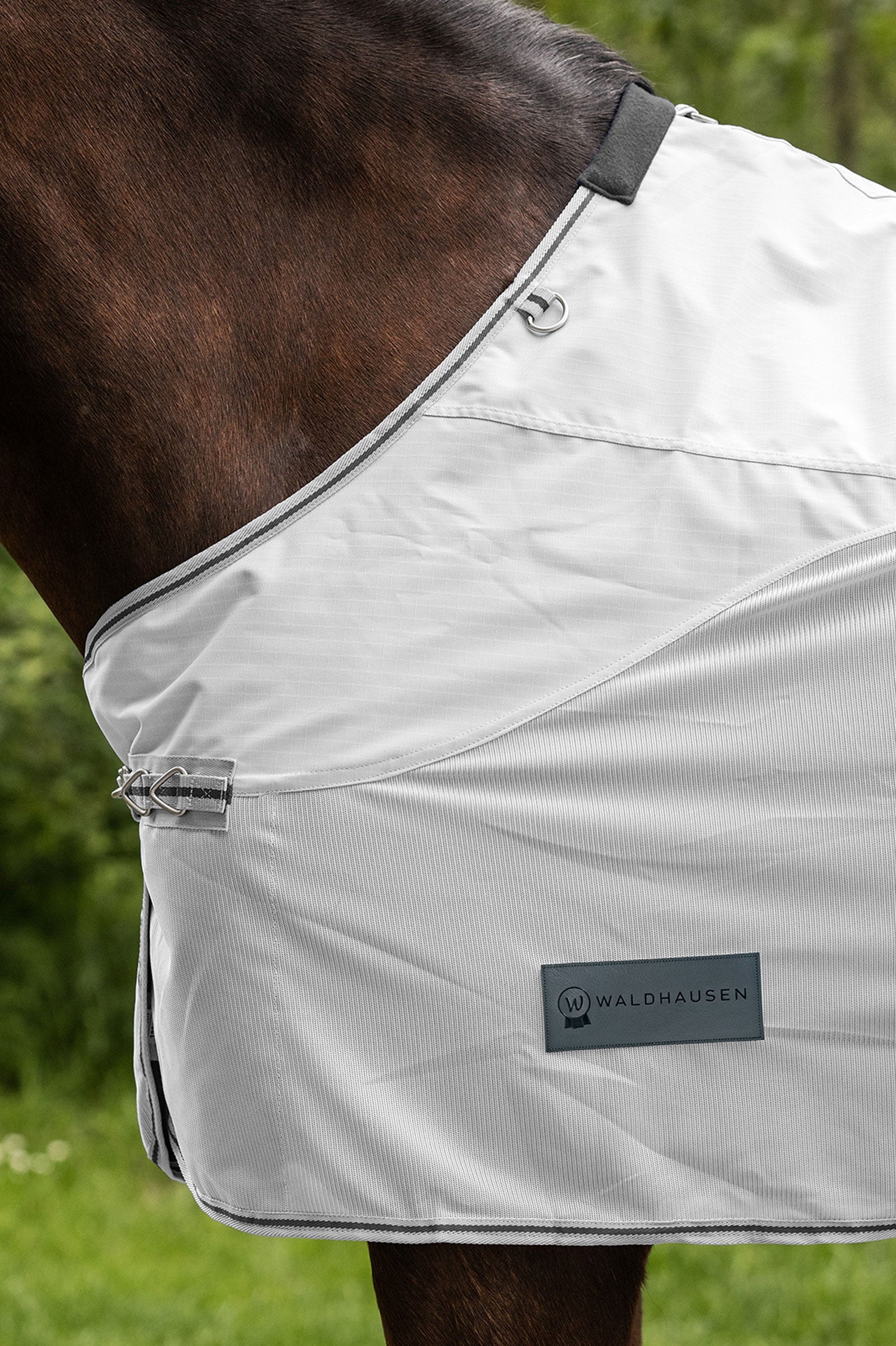Waldhausen Protect Rain Fly Rug Horse Rugs