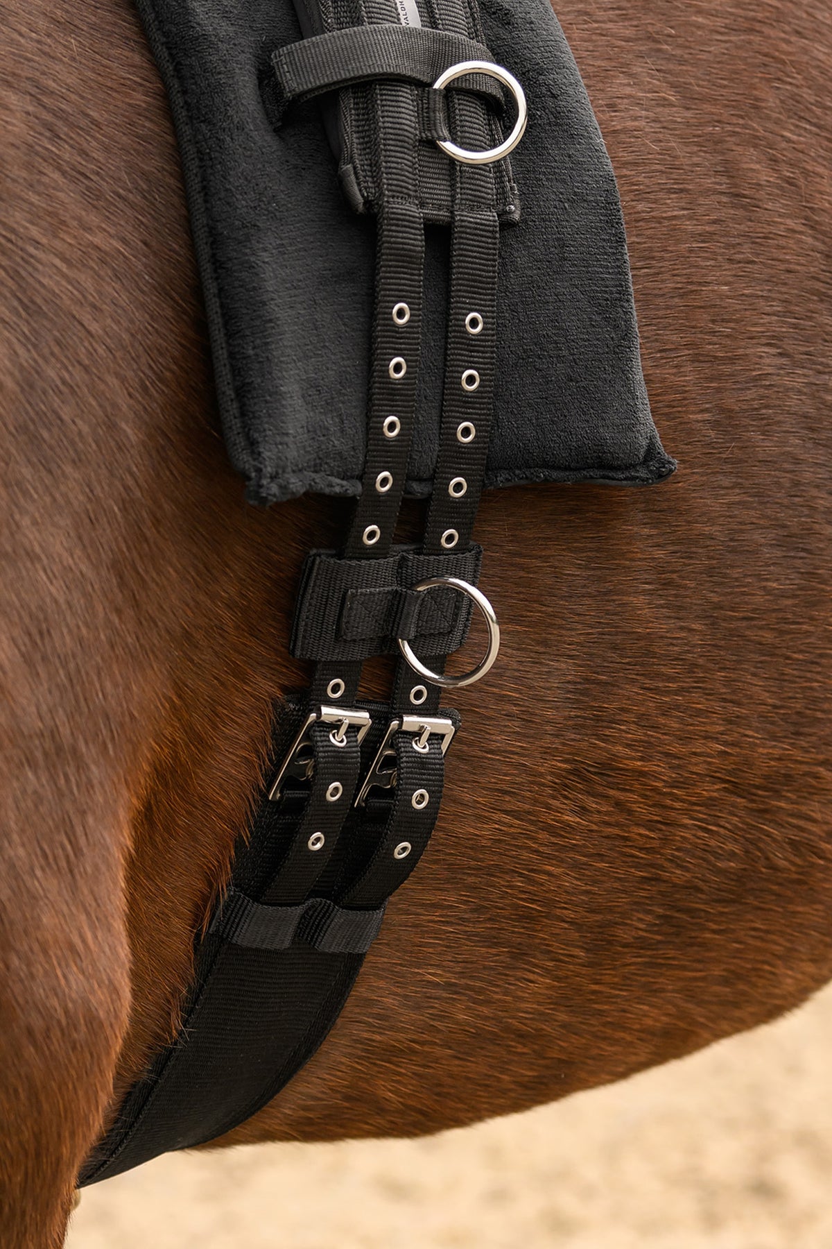 Waldhausen Extra Ring Padded for Lunging Girth Saddles, Girths & Stirrups