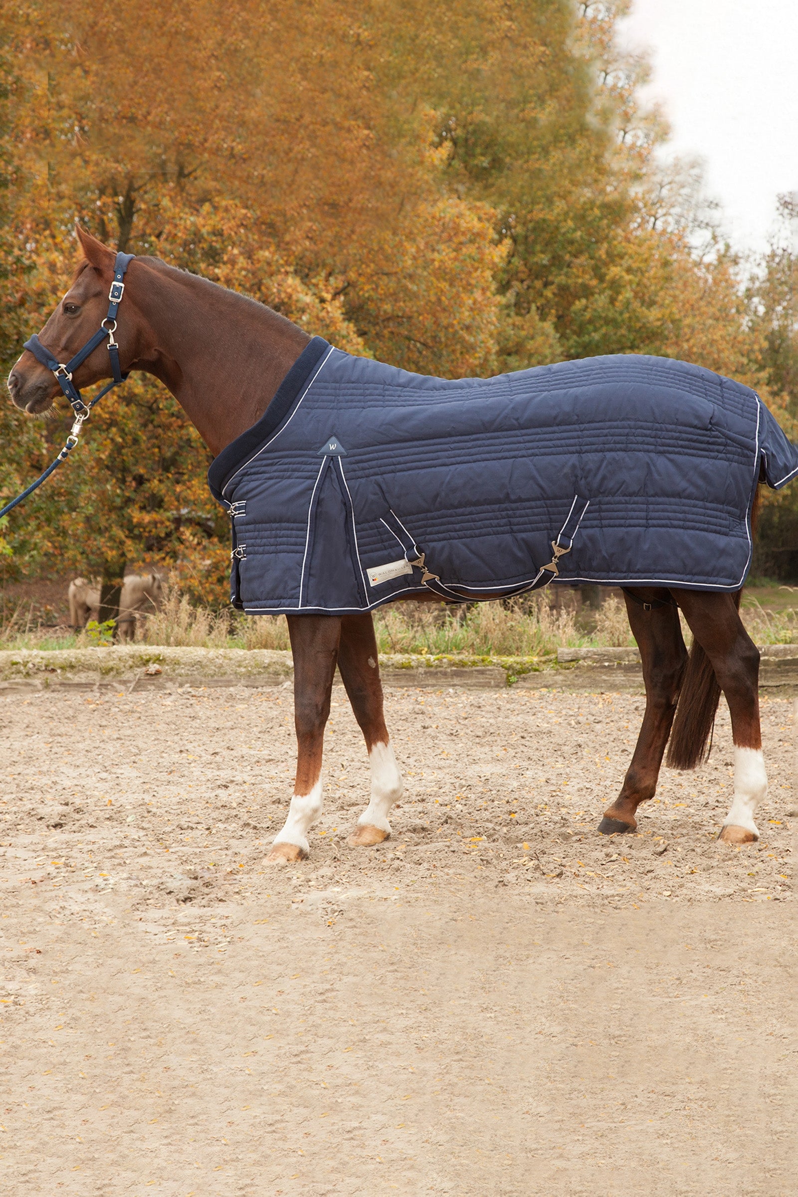 Waldhausen Stable Rug Comfort Line 200g Pferdedecken