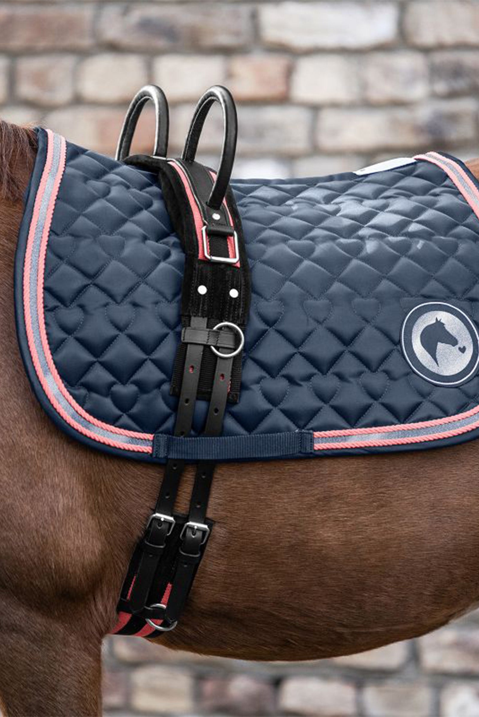 Waldhausen Surcingle with two handles Saddles, Girths & Stirrups