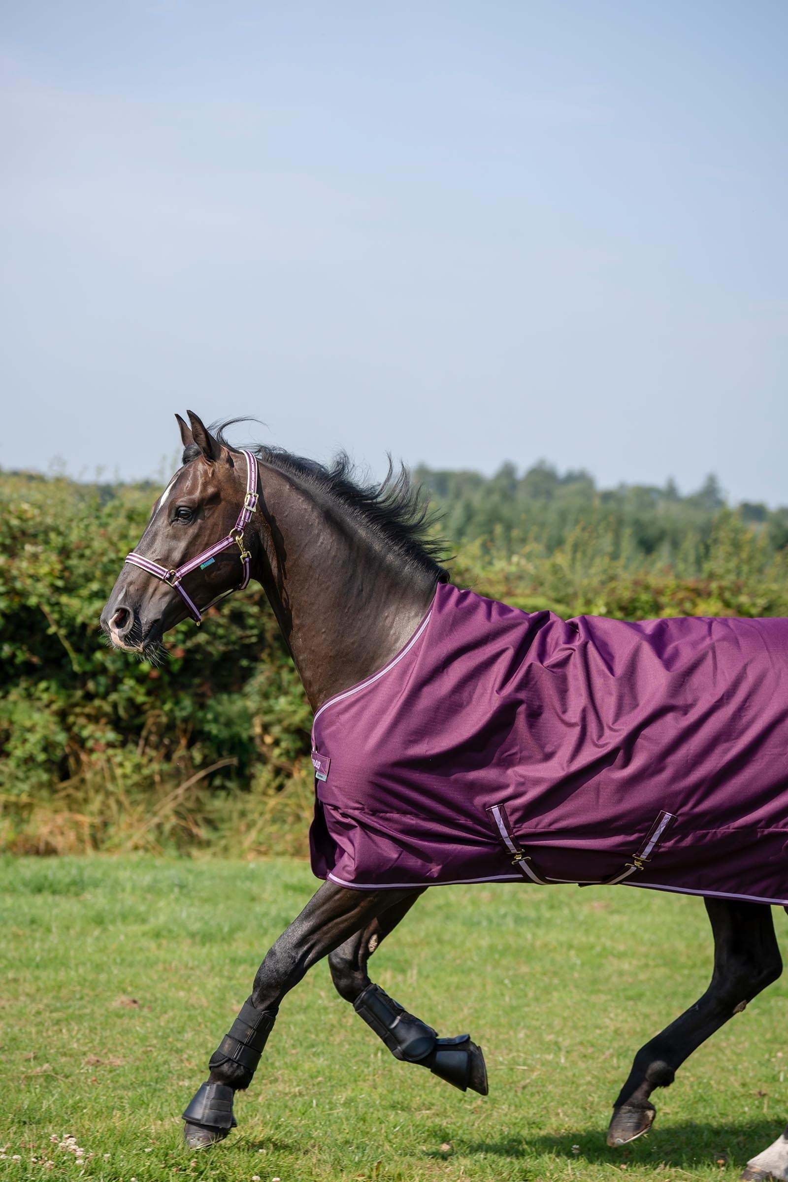 Bucas Freedom Turnout Rug, 300g Horse Rugs