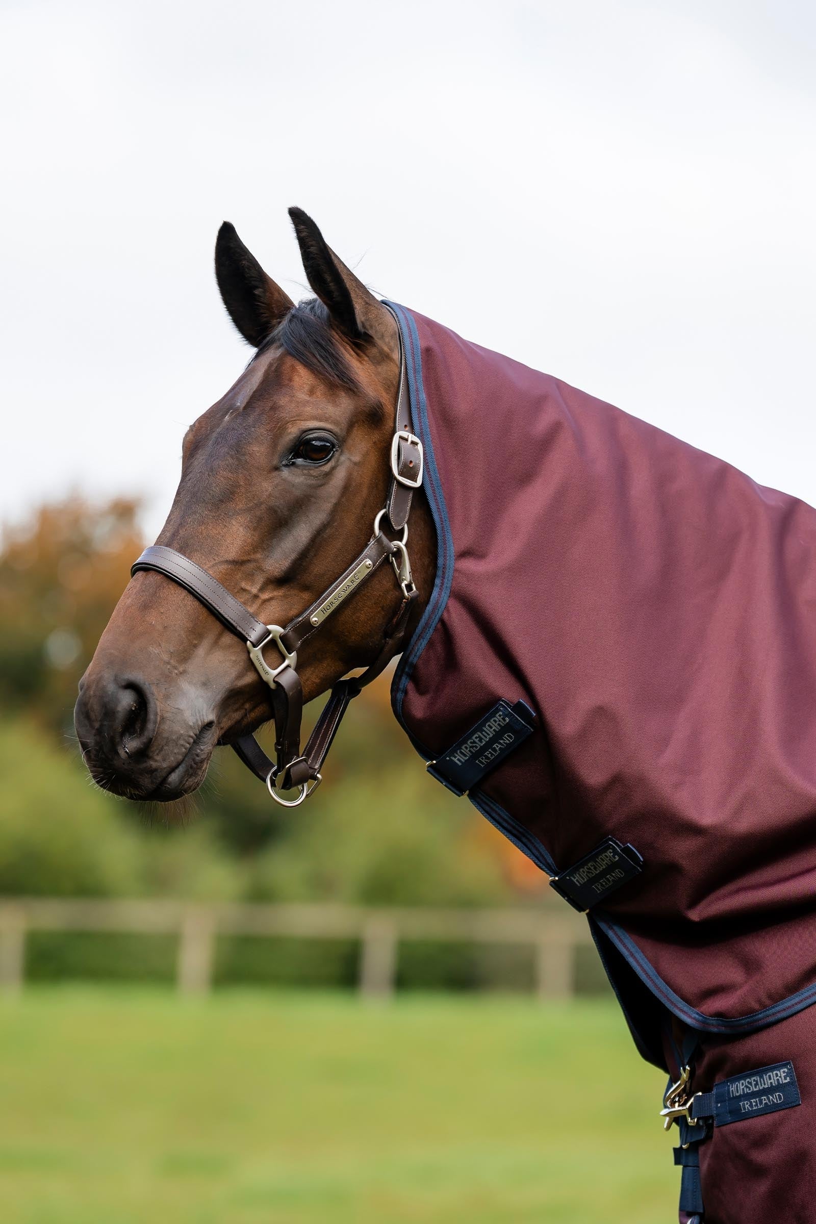 Horseware Amigo Bravo 12 Hood 0g Horse Rugs