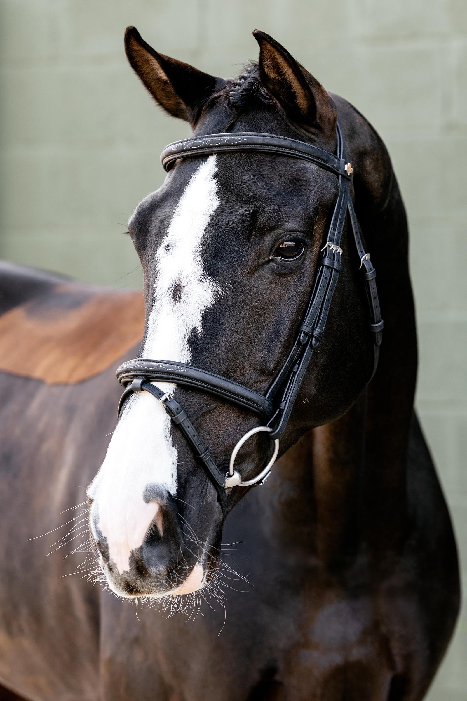 LeMieux Classique Flash Bridle Bridles & Reins