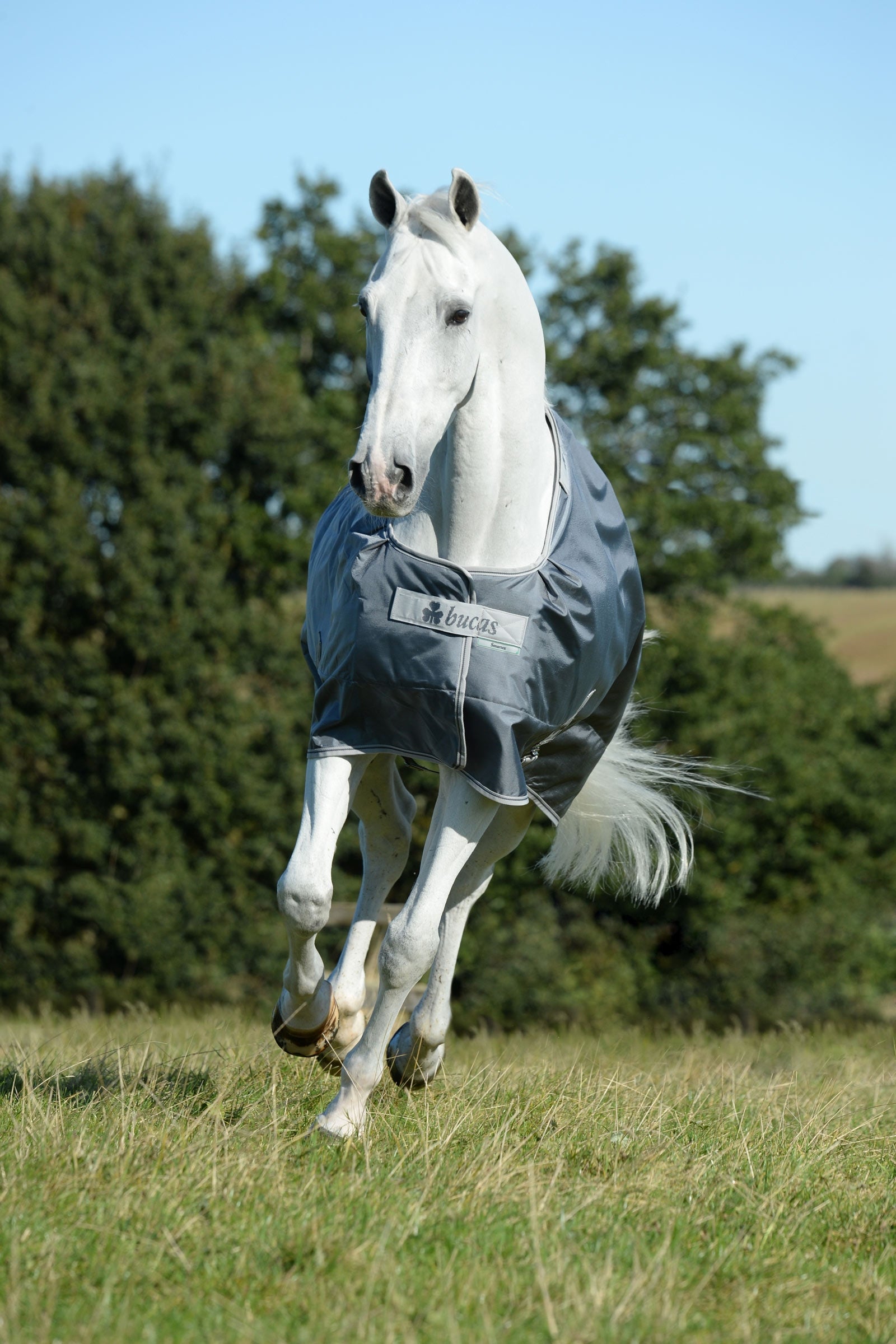 Bucas Smartex Medium Weidedecke, 150g Pferdedecken