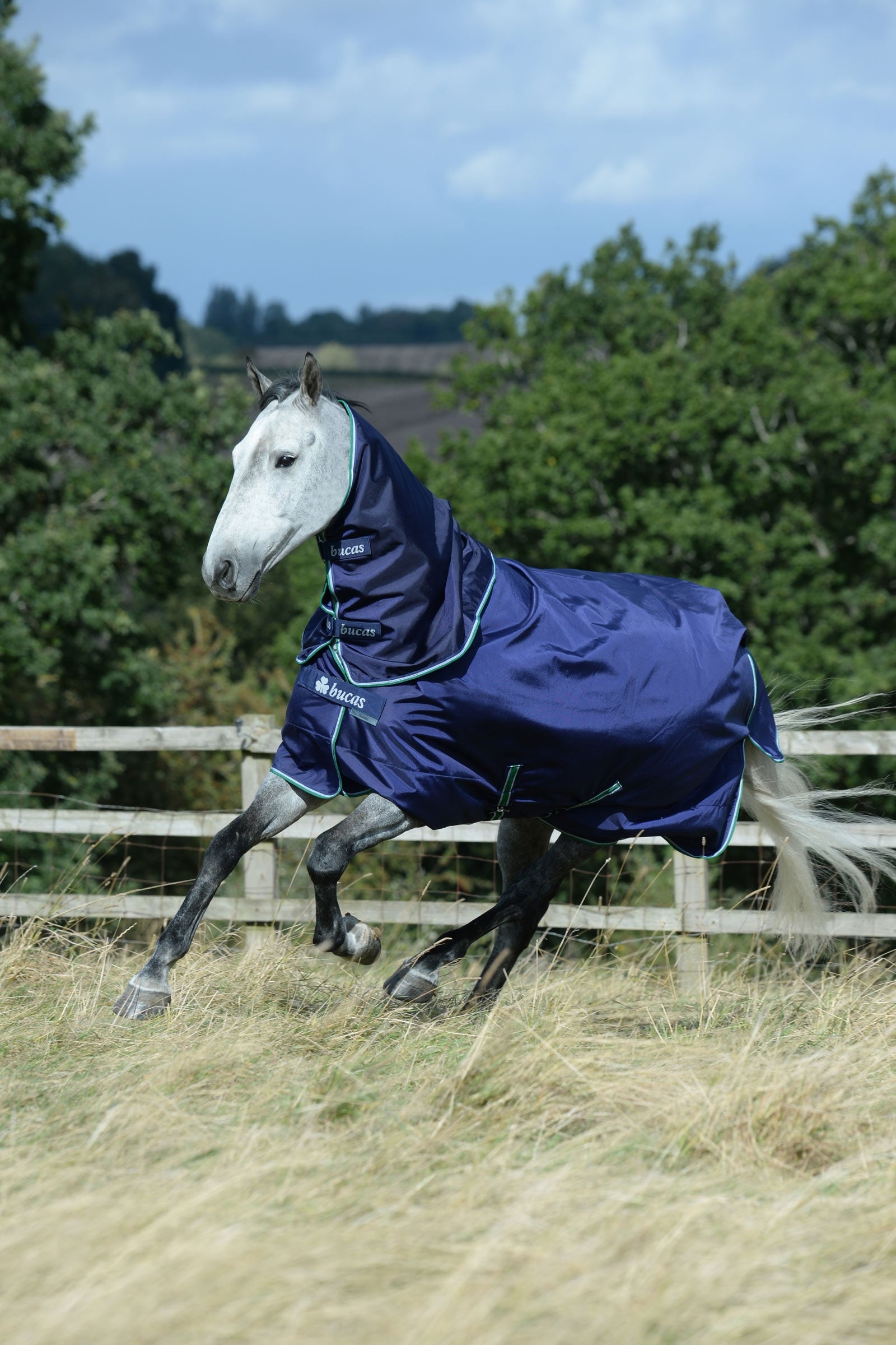 Bucas Smartex Medium Turnout Rug, 150g Horse Rugs
