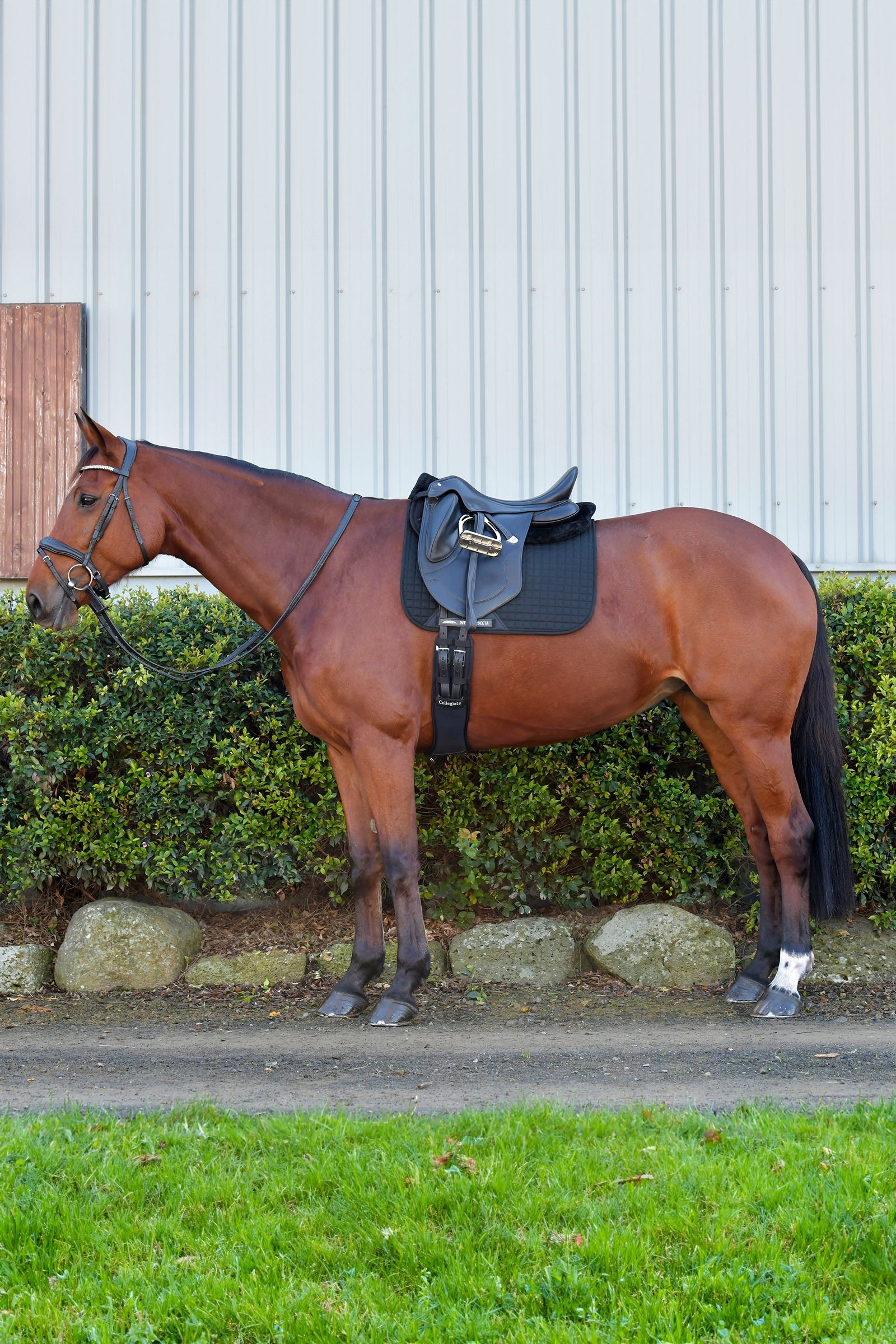 Weatherbeeta Prime Comfy Fleece Half Pad Saddle Pads